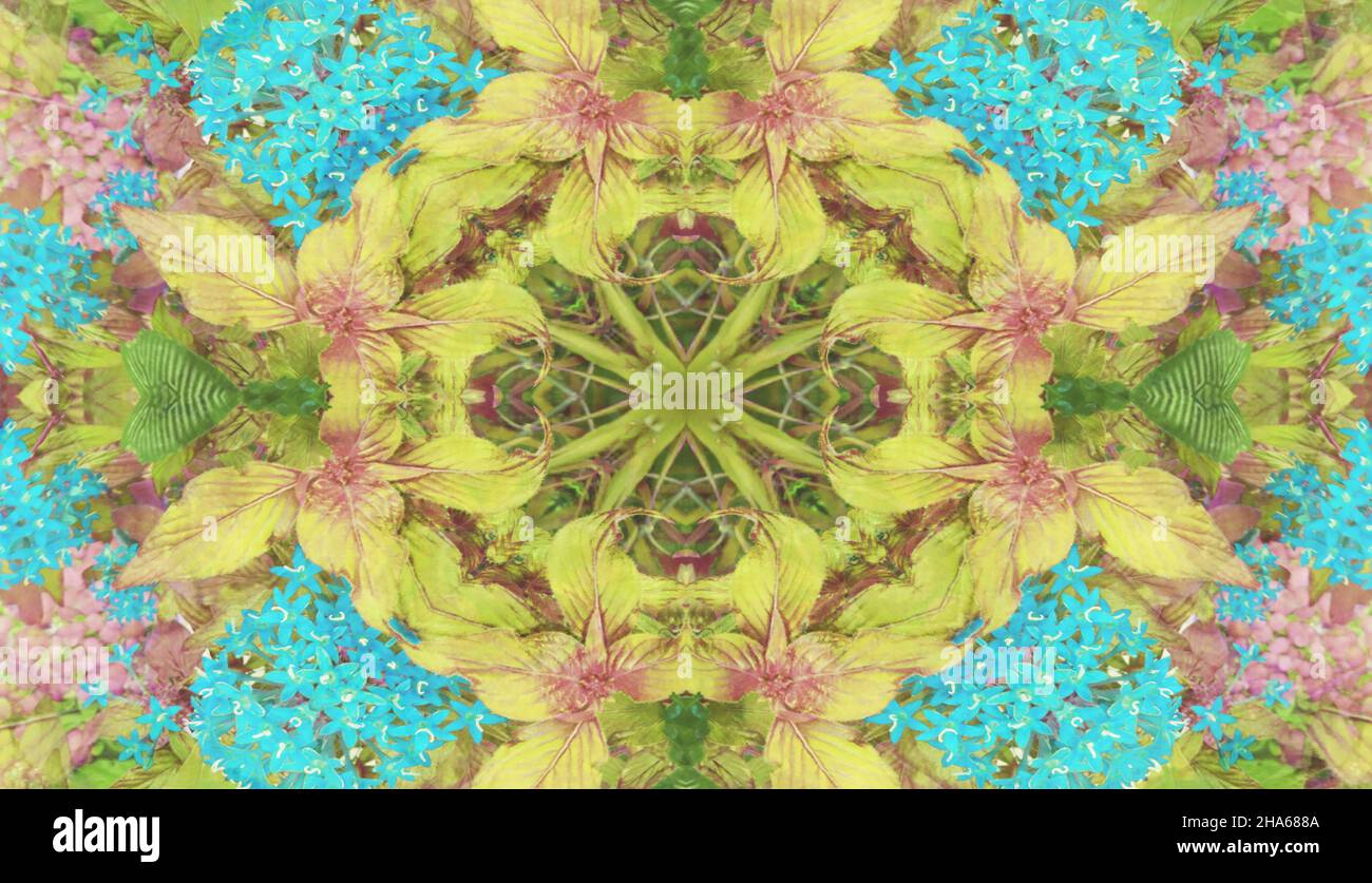 mandala,composition de fleurs Banque D'Images