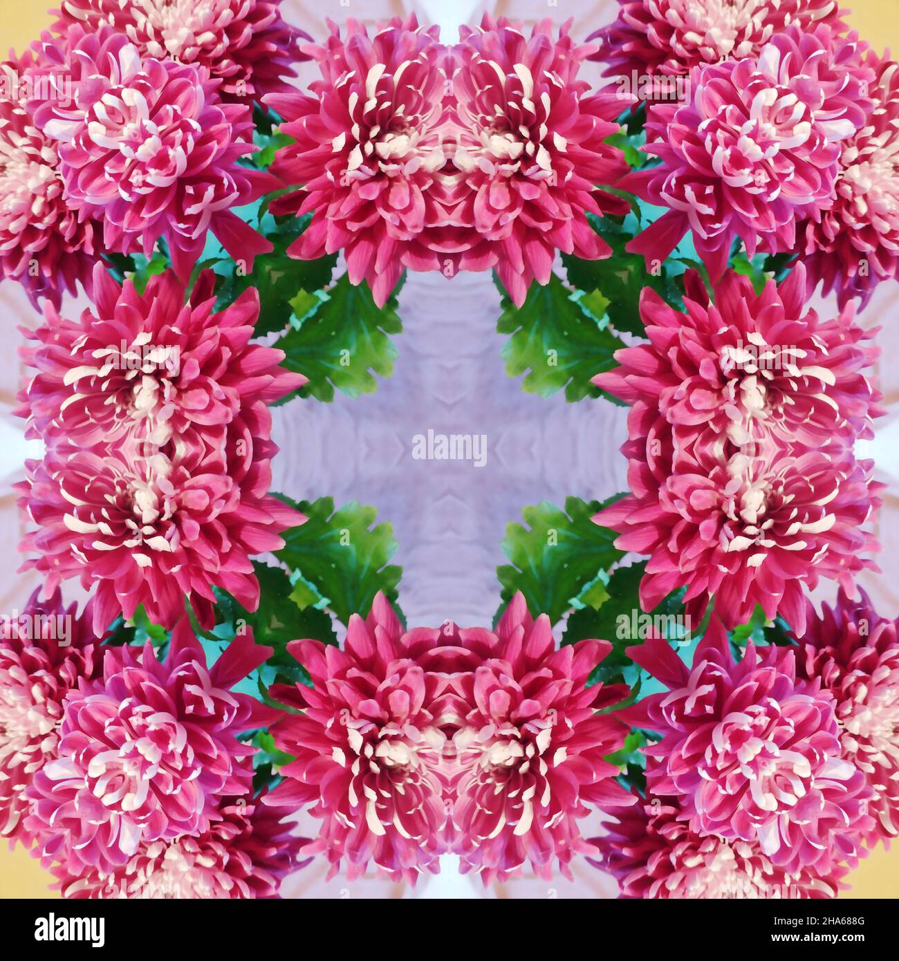 mandala,composition de fleurs Banque D'Images