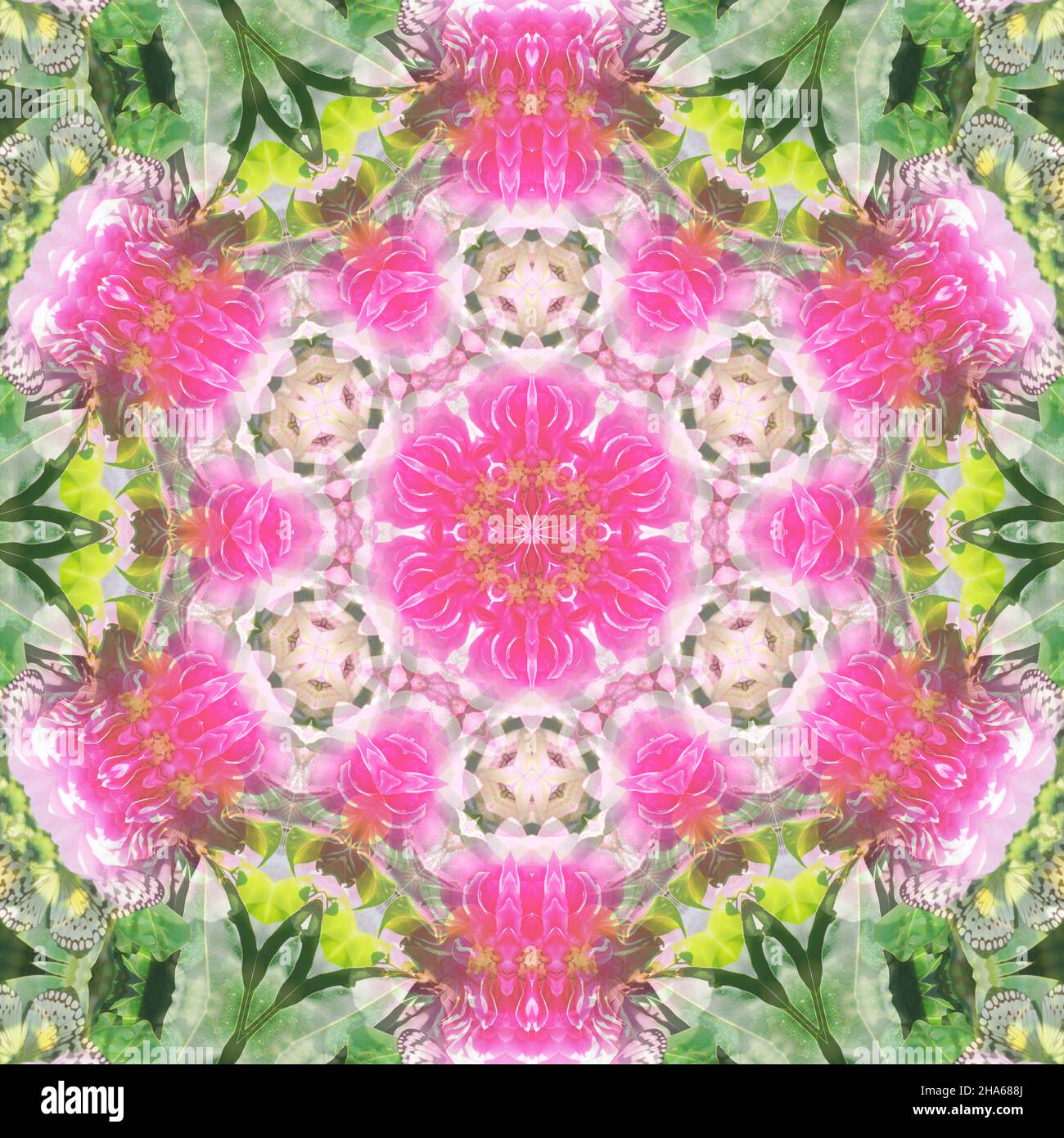 mandala,composition de fleurs Banque D'Images