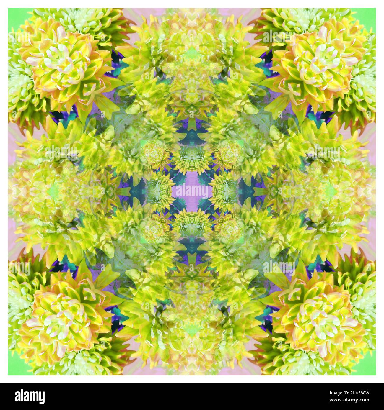 mandala,composition de fleurs Banque D'Images