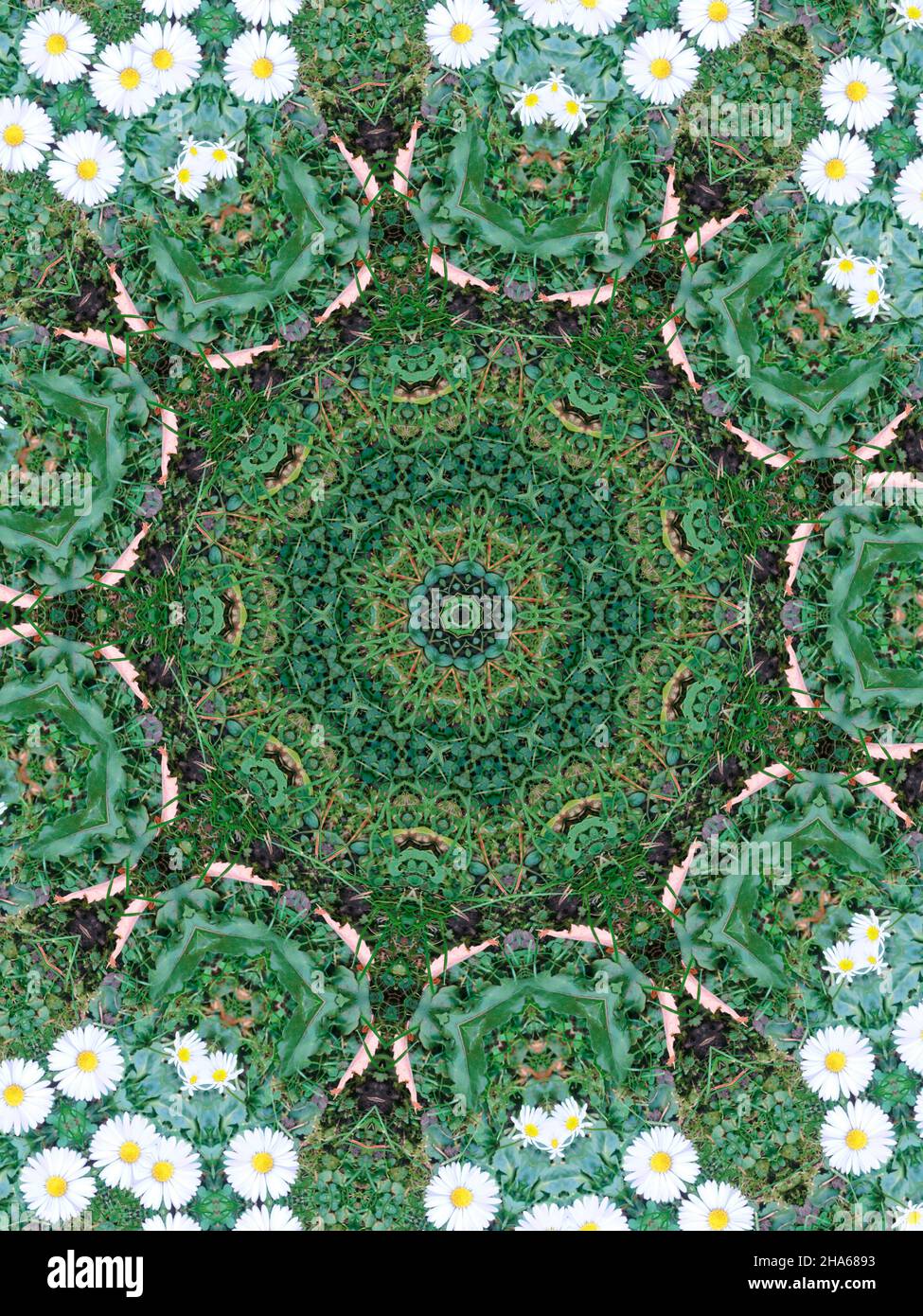 mandala,composition de fleurs Banque D'Images