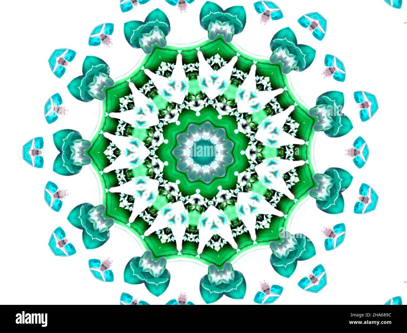 mandala,composition de fleurs Banque D'Images