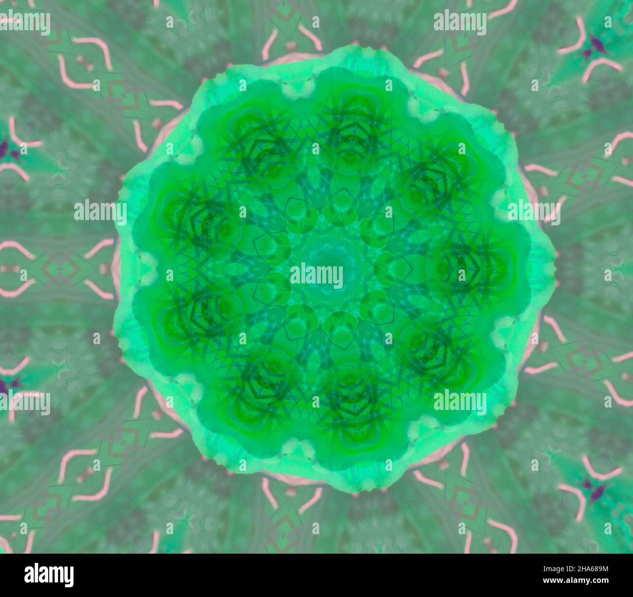 mandala,composition de fleurs Banque D'Images