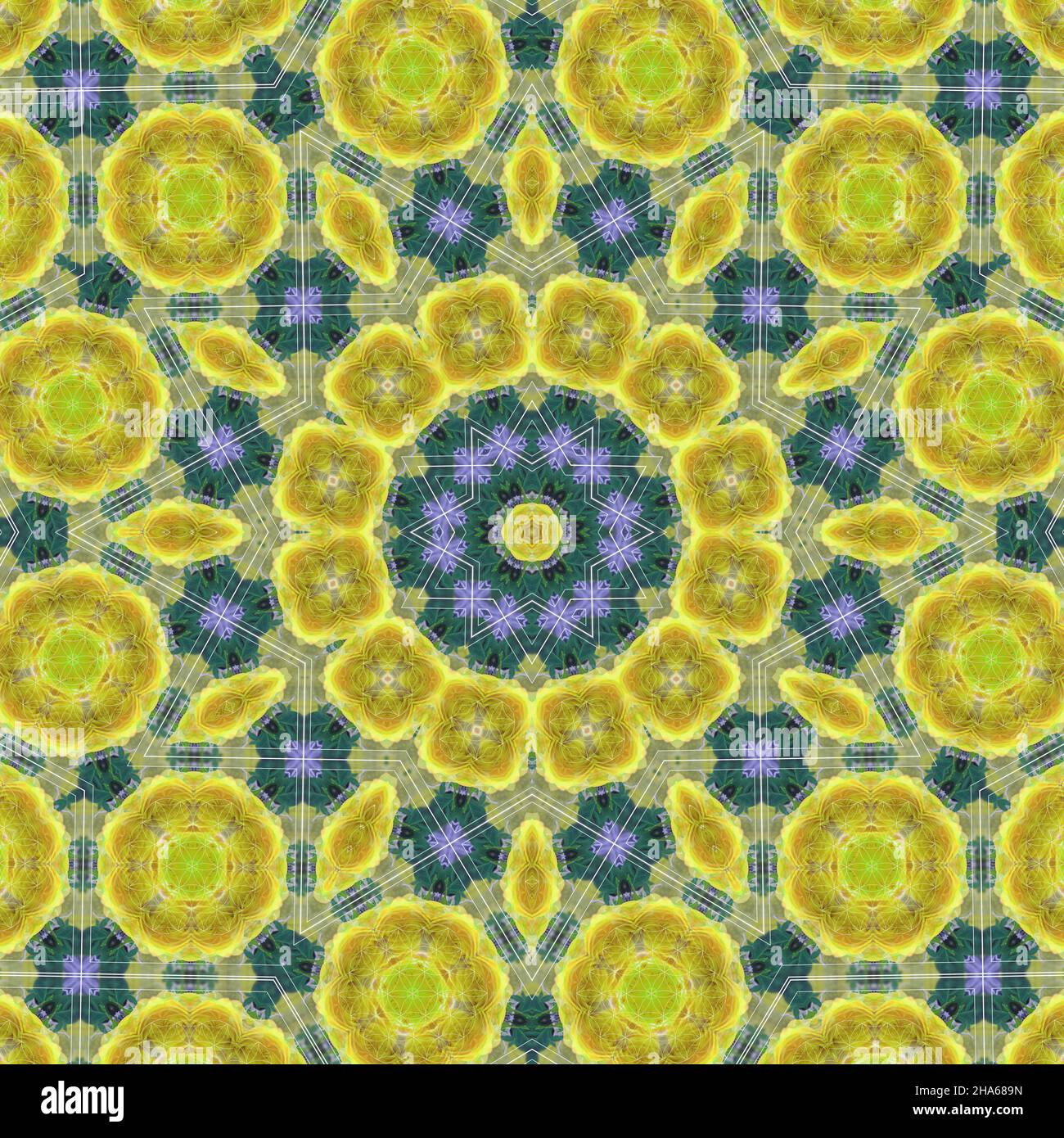 mandala,composition de fleurs Banque D'Images