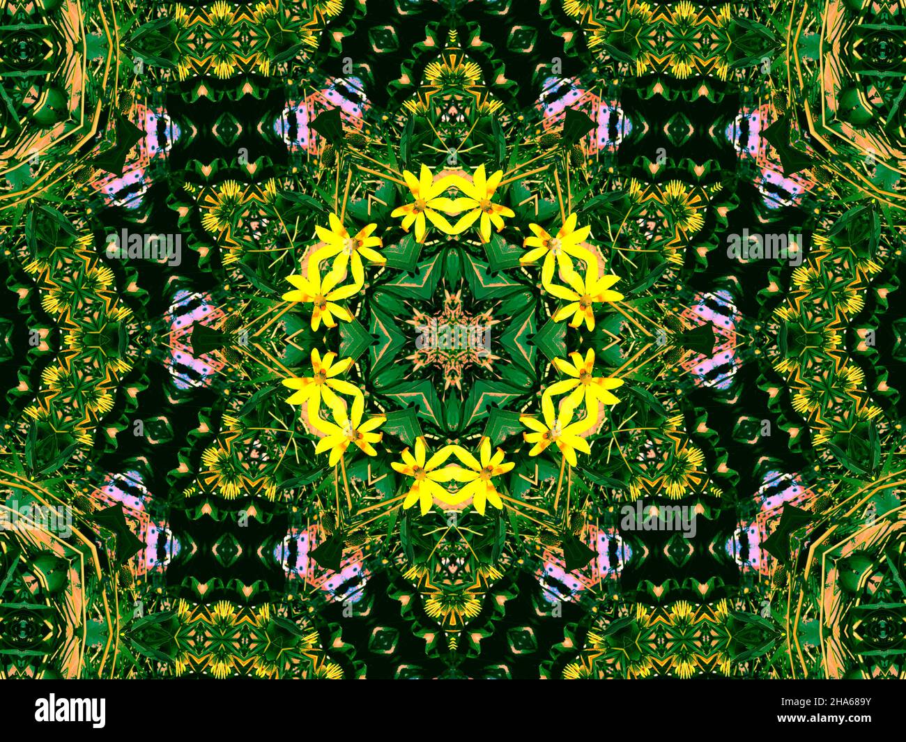 mandala,composition de fleurs Banque D'Images