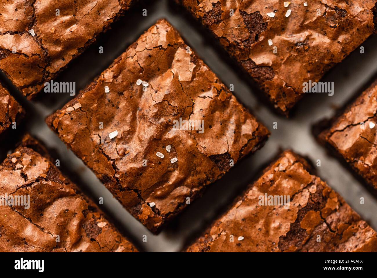 Gros plan des brownies au chocolat salé coupées en carrés. Banque D'Images