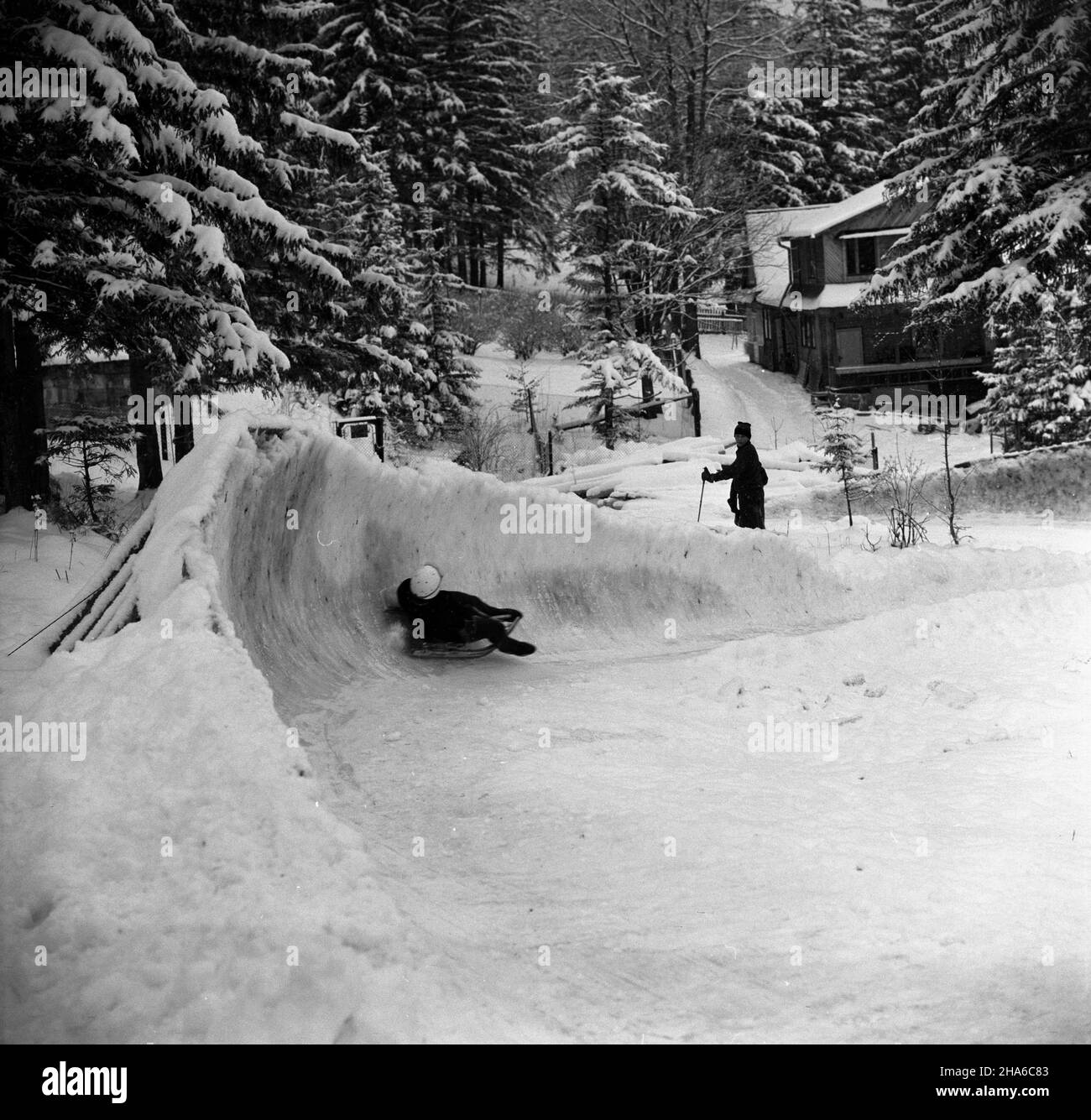 Zakopane, 1969-12-03.OD 2 XII 1969 r. kadra polskich saneczkarzy (seniorów i juniorów), pods kierunkiem Ryszarda Gurbowicza, trenowa³a na sztucznym torze, usypanym przez samych zawodników pods Krokwi¹.NZ.œlizg zawodnika na torze. pw PAP/Tadeusz OlszewskiZakopane, 3 décembre 1969.Depuis le 2 décembre 1969, les équipes de luger polonais, senior et junior, ont fait des exercices sous la direction de Ryszard Gurbowicz sur la piste de luge artificielle faite par les concurrents près du saut de Krokwia.Photo : un luger pendant l'entraînement. pw PAP/Tadeusz Olszewski Banque D'Images