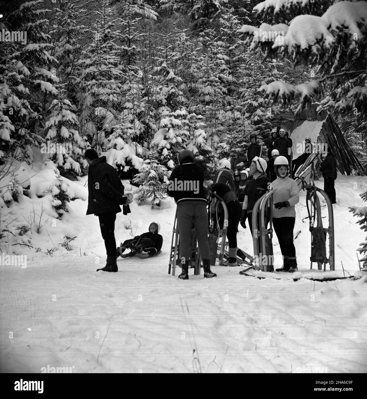 Zakopane, 1969-12-03.OD 2 XII 1969 r. kadra polskich saneczkarzy (seniorów i juniorów), pods kierunkiem Ryszarda Gurbowicza, trenowa³a na sztucznym torze, usypanym przez samych zawodników pods Krokwi¹.NZ. Kadra juniorów obserwuje œlizg zawodnika. pw PAP/Tadeusz OlszewskiZakopane, 3 décembre 1969.Depuis le 2 décembre 1969, les équipes de luger polonais, senior et junior, ont fait des exercices sous la direction de Ryszard Gurbowicz sur la piste de luge artificielle faite par les concurrents près du saut de Krokwia.Photo : jeunes Lugers pendant l'entraînement. pw PAP/Tadeusz Olszewski Banque D'Images