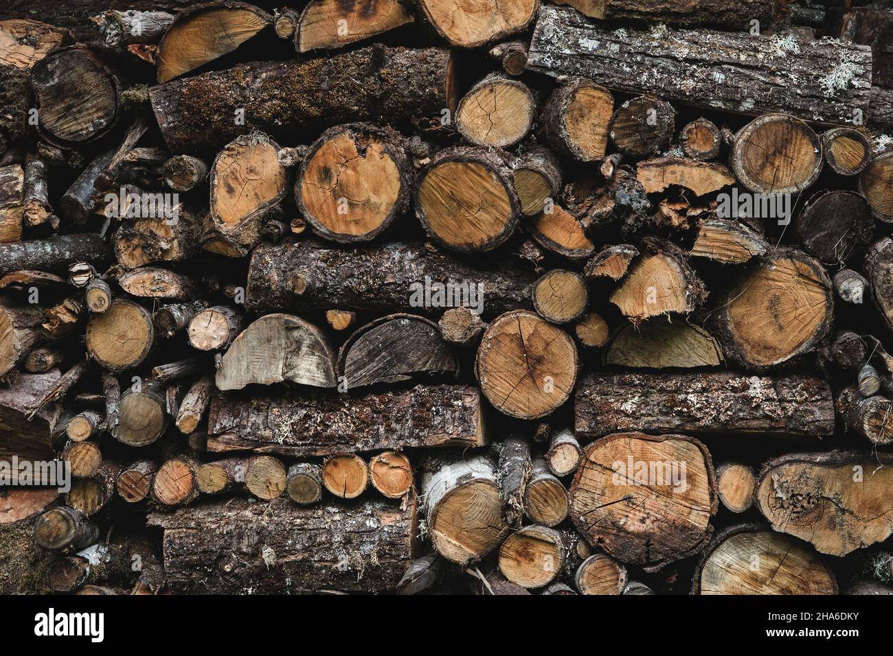 Bois de chauffage sec haché empilé dans un tas de bois, haute résolution photo de stock Banque D'Images