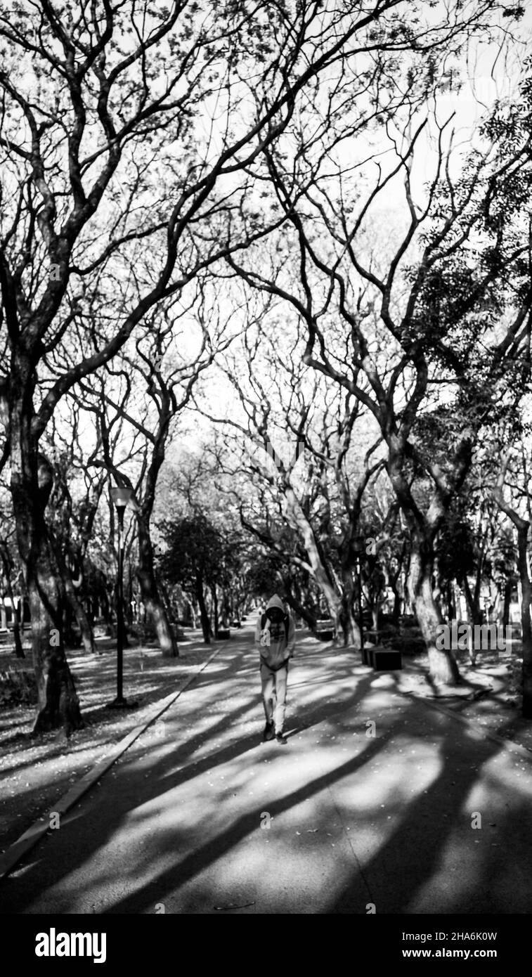 Photographie de rue en couleur Banque D'Images