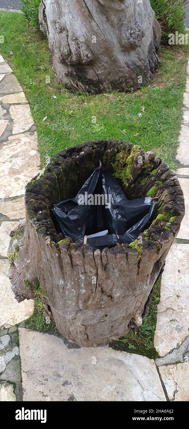 tronc d'arbre utilisé comme poubelle Banque D'Images