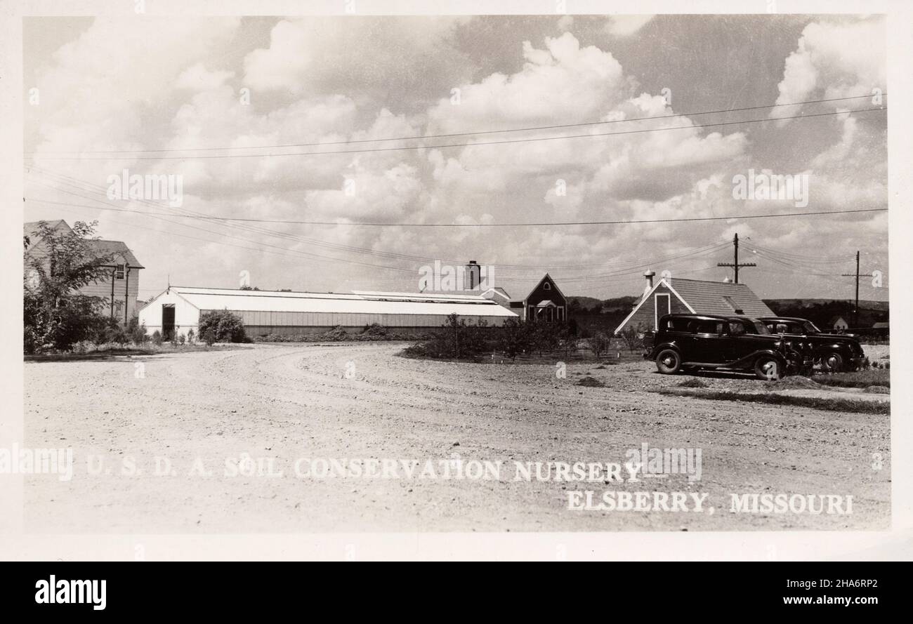 Soil conservation nursery, Elsberry Missouri, photographe non identifié, carte postale des années 1930. Banque D'Images