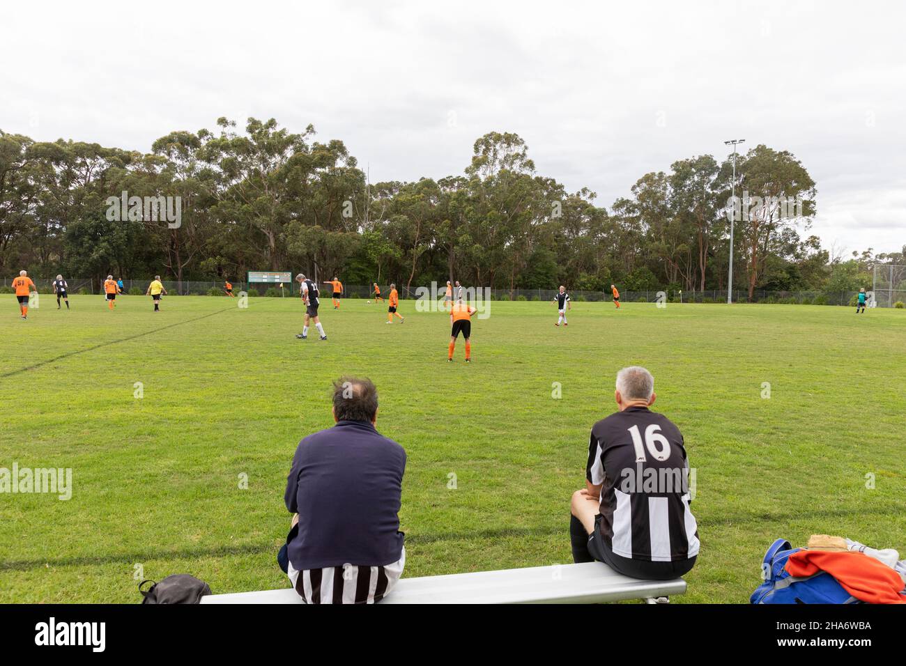 Sydney, Australie Jeux de football amateur de base pour hommes pour plus de 55 ans groupe, joué sur herbe, avec des sous-titres sur le banc, Sydney, Australie Banque D'Images