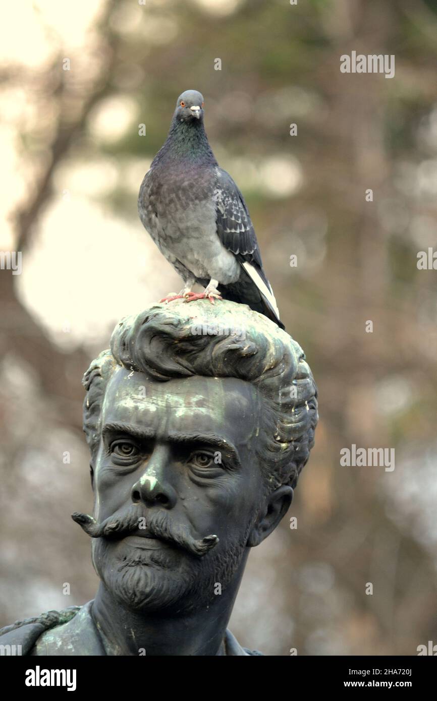 Plan vertical d'un pigeon perché sur la tête d'une sculpture Banque D'Images