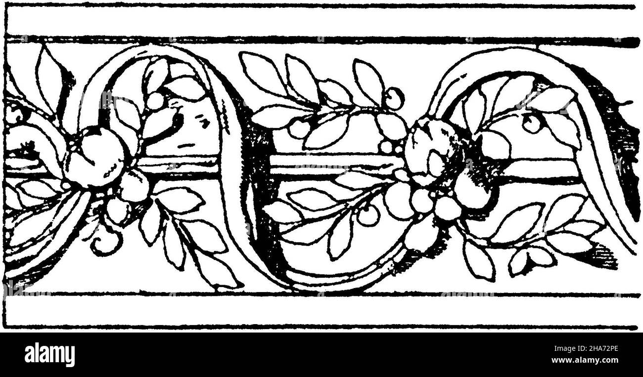 Bandes de feuilles et bandes de tendril : décoration archivolte d'une porte sur le bâtiment Otto Heinrich du château de Heidelberg.Renaissance allemande., , ML (livre de motifs, ) Banque D'Images