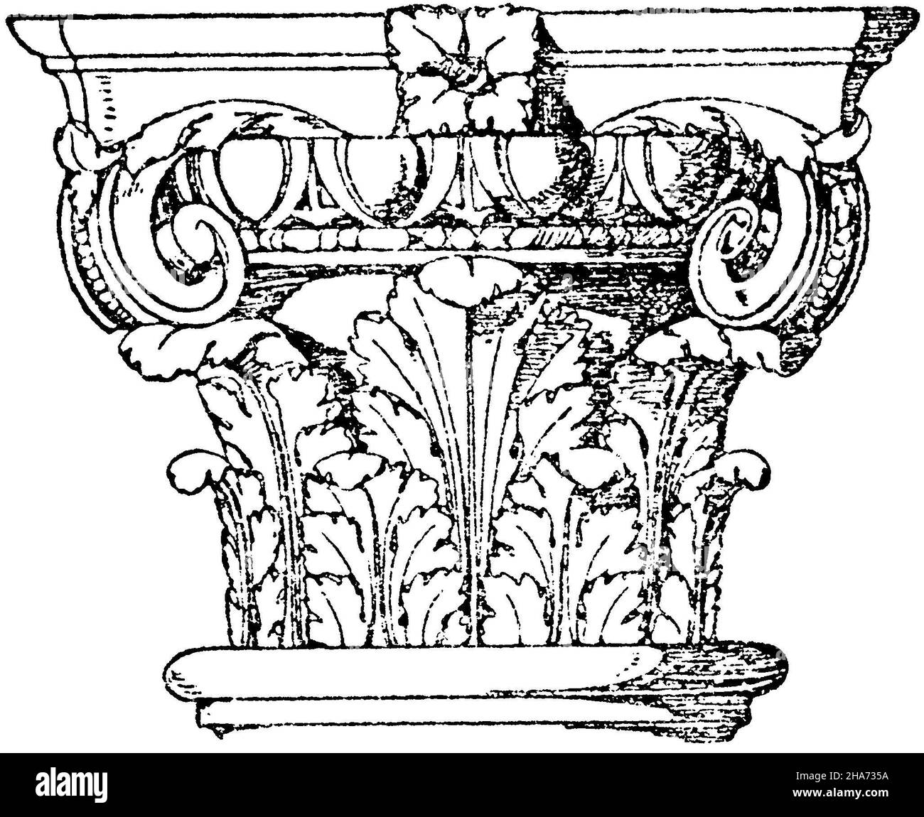 Capital composite.Renaissance italienne., , ML (livre de motifs, ) Banque D'Images