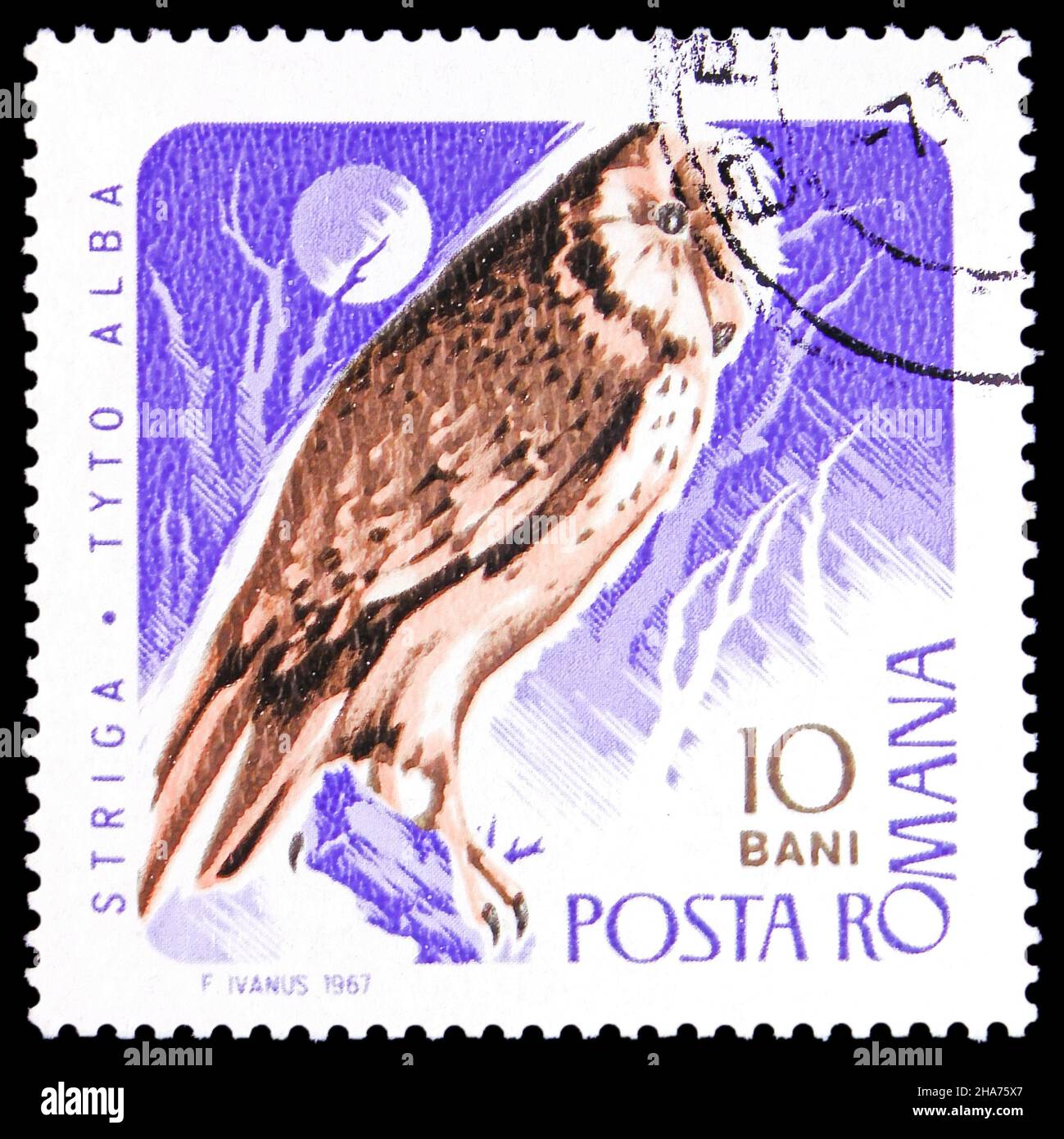 MOSCOU, RUSSIE - le 8 NOVEMBRE 2021 : le timbre-poste imprimé en Roumanie montre la chouette de l'Ouest (Tyto alba), série d'oiseaux de proie, vers 1967 Banque D'Images MOSCOU, RUSSIE - le 8 NOVEMBRE 2021 : le timbre-poste imprimé en Roumanie montre la chouette de l'Ouest (Tyto alba), série d'oiseaux de proie, vers 1967 Banque D'Images