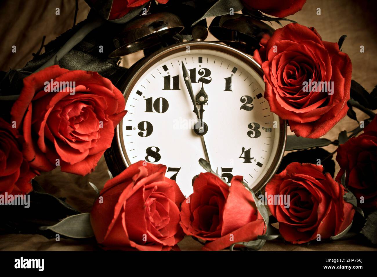 beau wallaart artistique de bouquet de roses rouges avec des gouttes d'eau et réveil rétro avec heure de minuit dans le style vintage Banque D'Images