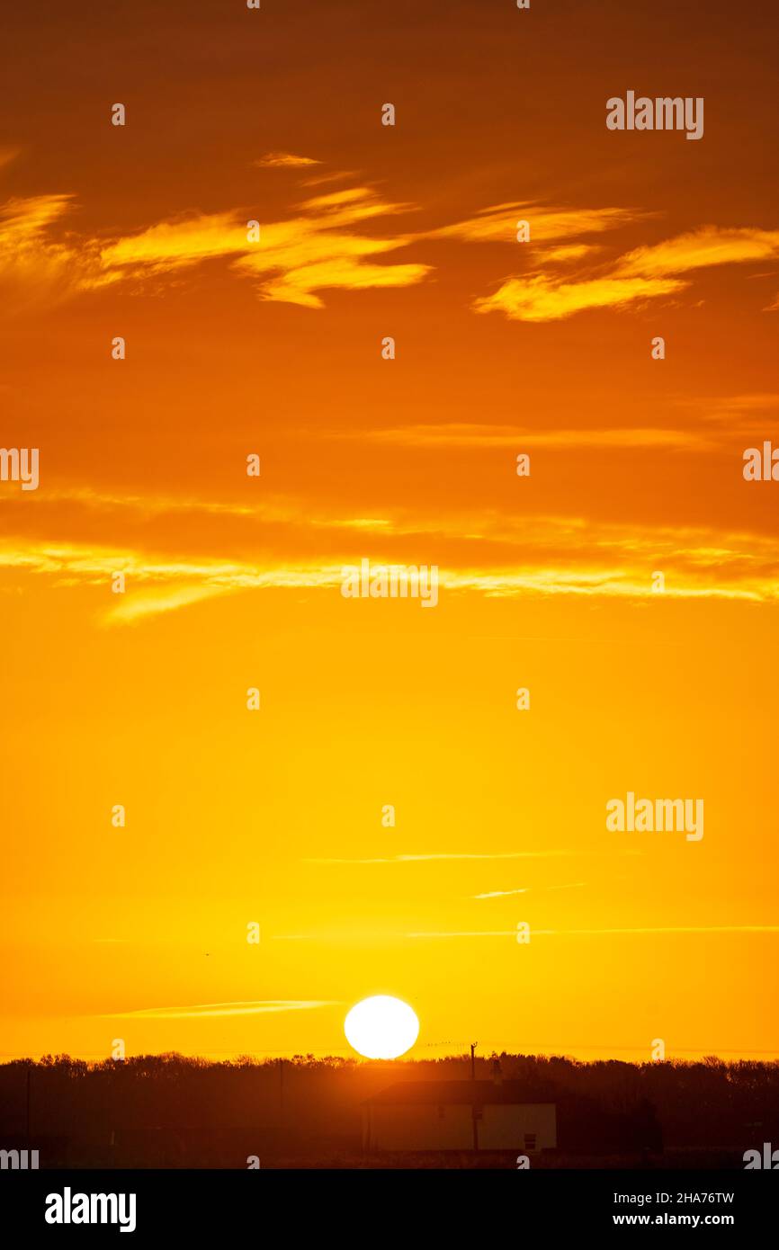 Lever du soleil sur une rangée d'arbres à l'horizon dans un ciel principalement orange clair avec quelques nuages dans des couches horizontales à travers le ciel.Horizon très bas dans le cadre. Banque D'Images