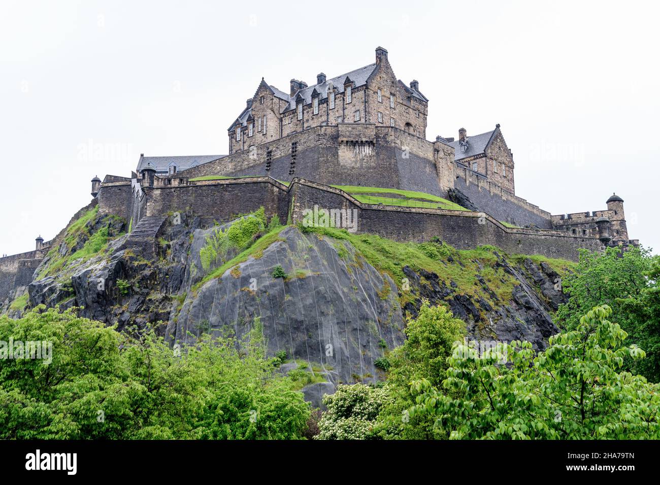 Château d'Édimbourg, Écosse et vieux arbres verts, vus des jardins de Princes Street par une journée d'été pluvieuse et nuageux Banque D'Images