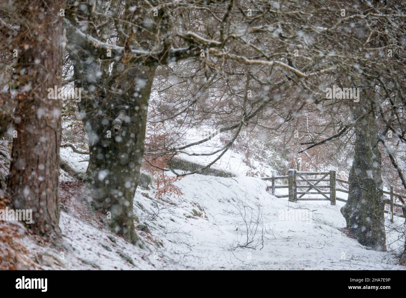 La vallée de Goyt dans le district de Derbyshire Peak en hiver. Banque D'Images