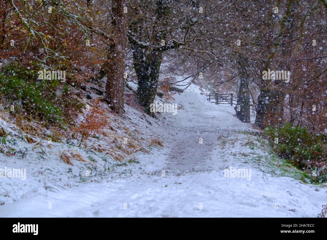 La vallée de Goyt dans le district de Derbyshire Peak en hiver. Banque D'Images