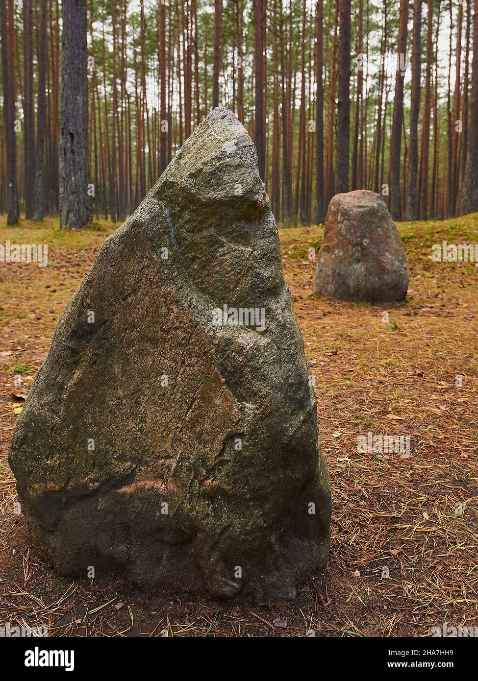 Une stela en pierre mise en place au 1st siècle après J.-C. par la tribu des Goths Banque D'Images