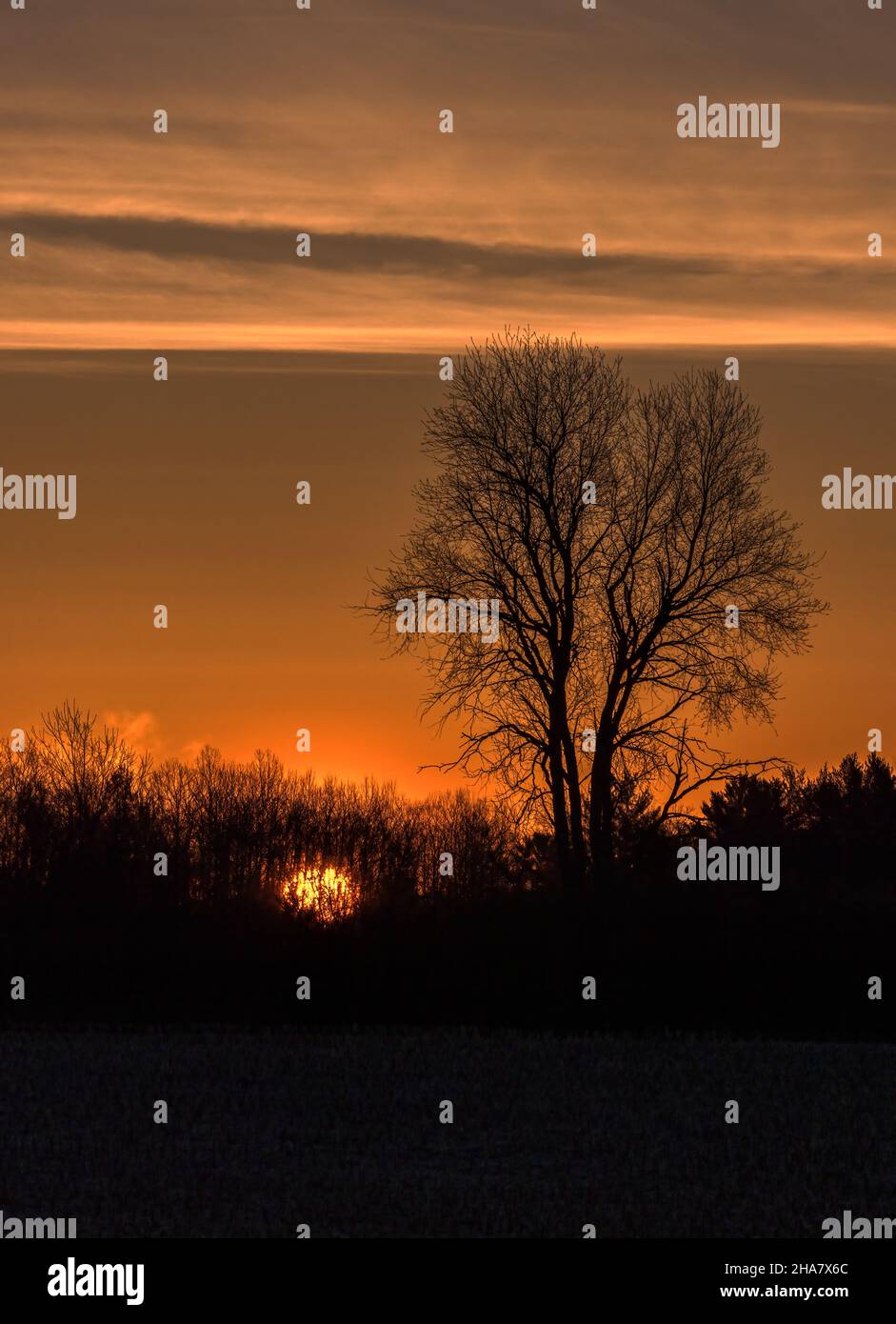 Lever du soleil dans le nord du Wisconsin. Banque D'Images
