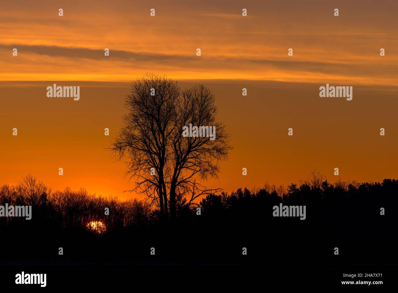 Lever du soleil dans le nord du Wisconsin. Banque D'Images