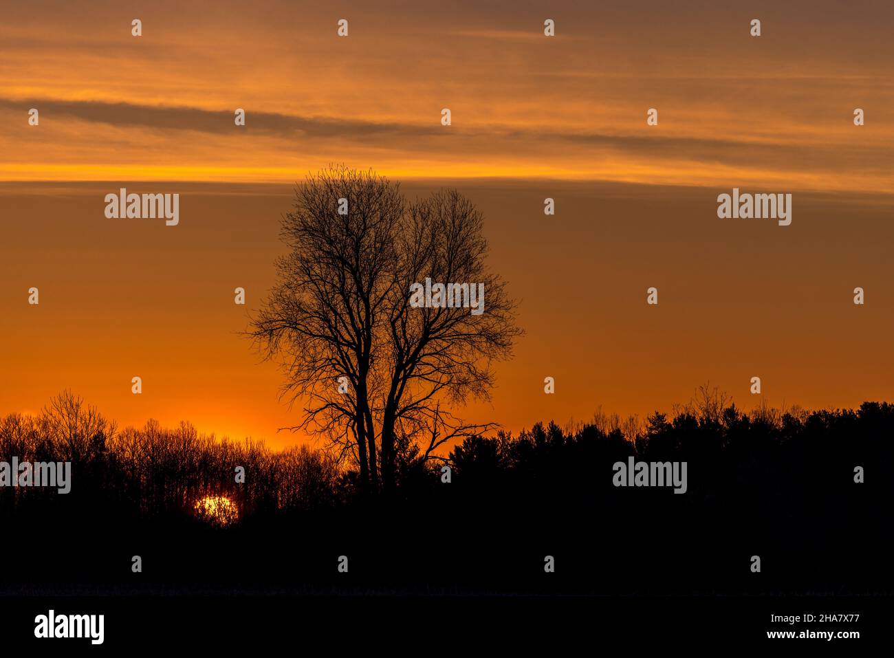 Lever du soleil dans le nord du Wisconsin. Banque D'Images