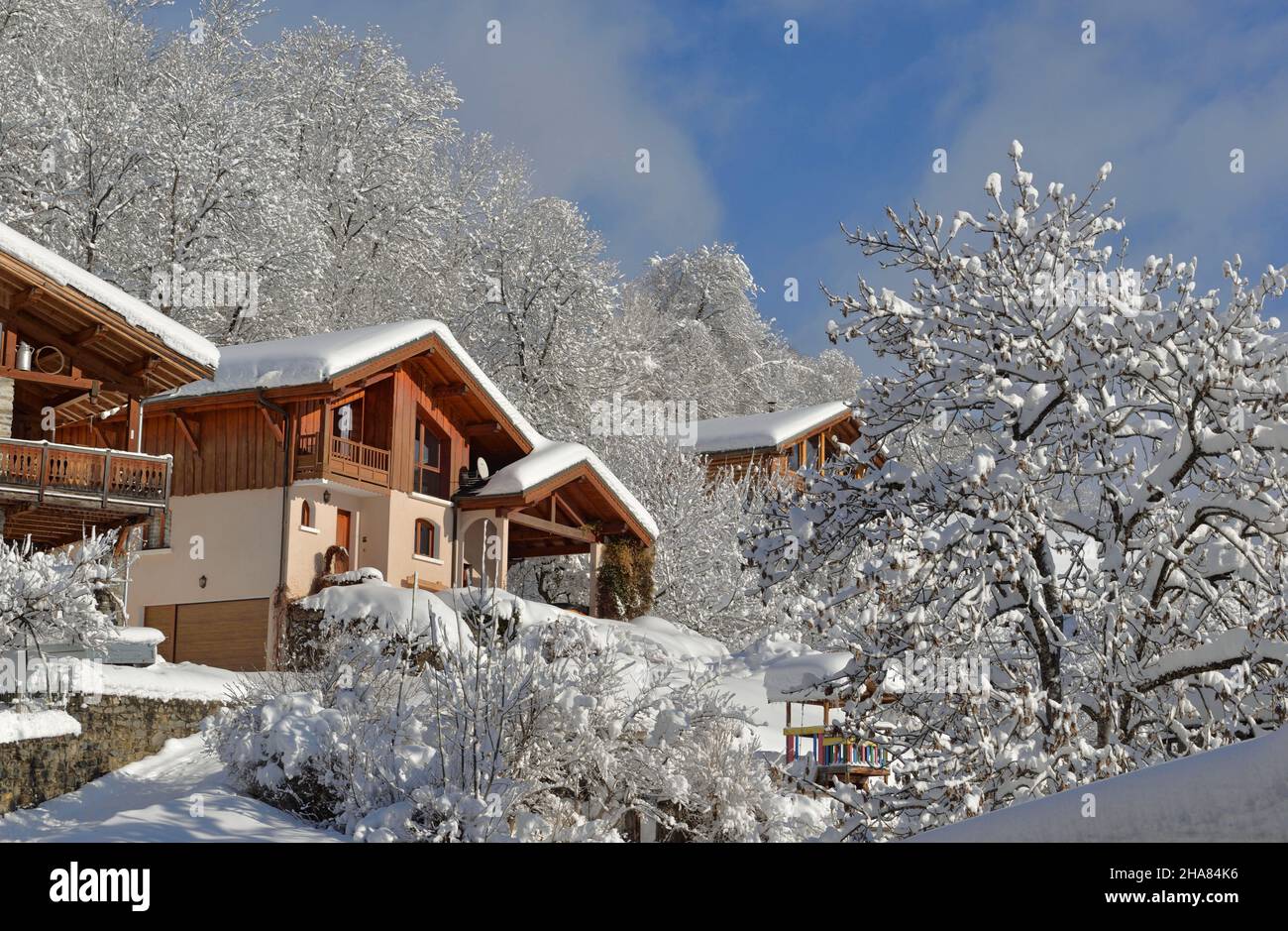 chalets en bois dans un village alpin recouvert de neige dans une montagne d'arbres blancs Banque D'Images