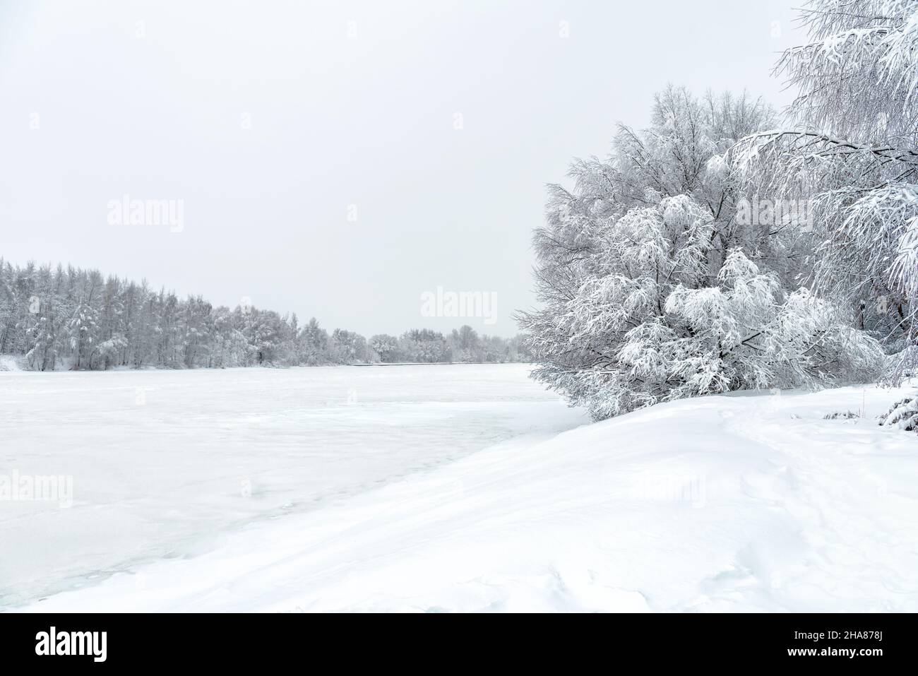 Paysage forestier d'hiver, rivière de glace neigeuse pendant la tempête de neige pour le fond.Vue panoramique sur les berges sous la neige.Concept de temps saisonnier, Sibe Banque D'Images