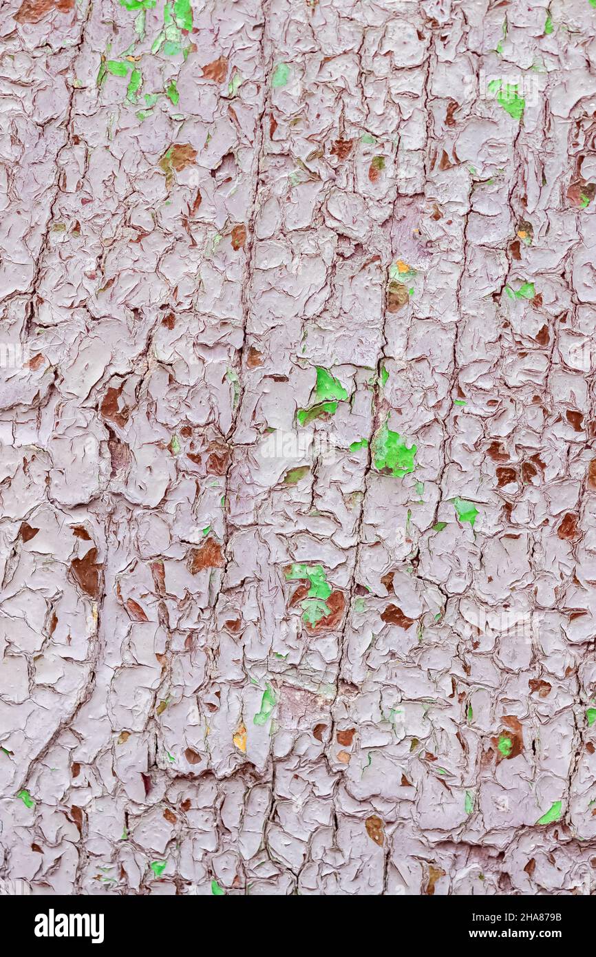 Porte en bois rose avec peinture écaillée, fond texturé Banque D'Images