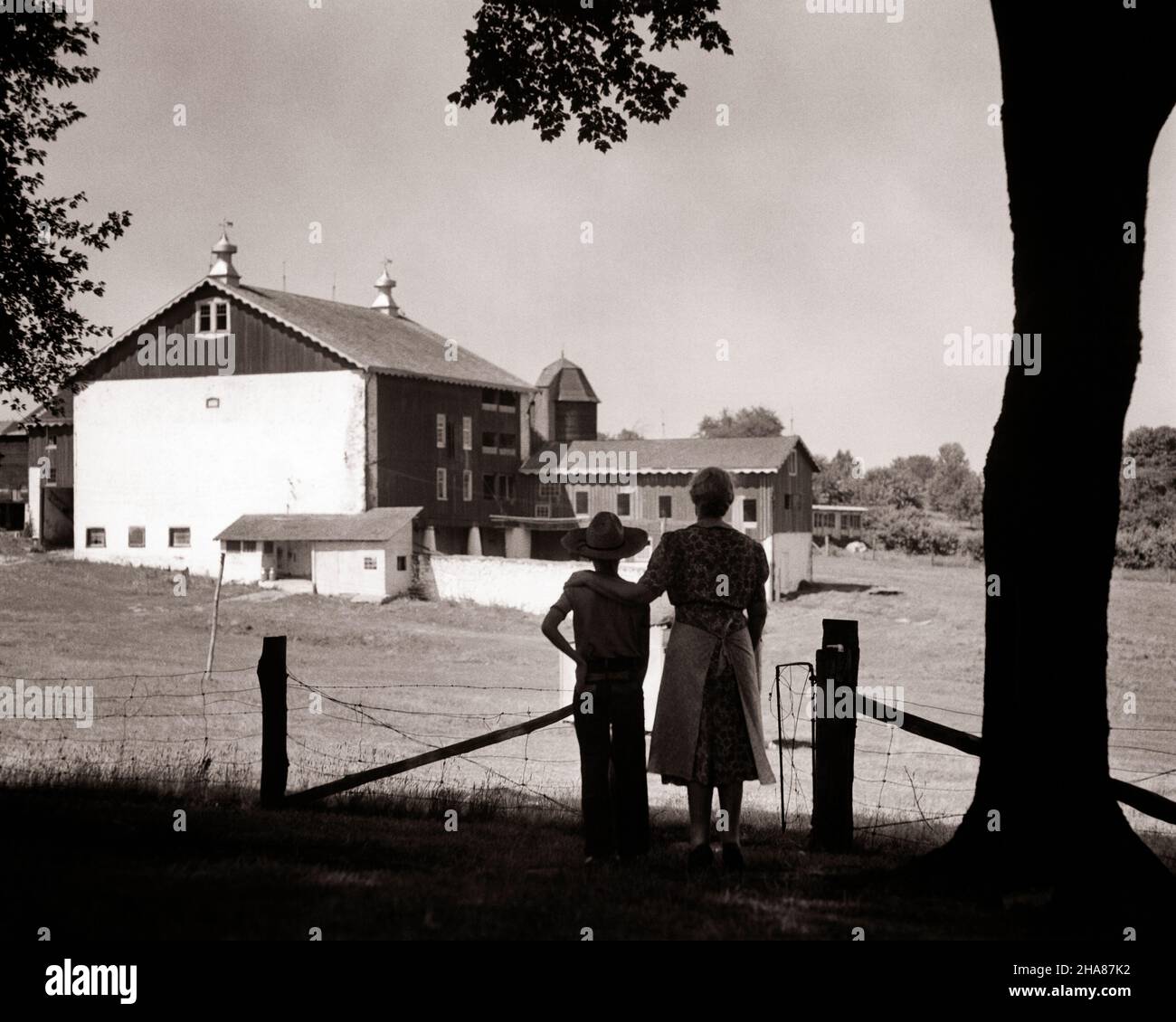 1940S 1940S GRAND-MÈRE ET PETIT-FILS SILHOUETÉS DEBOUT PAR CLÔTURE REGARDANT LA GRANGE ET LE PÂTURAGE ADJACENT - F3094 HAR001 GRAPHIQUE HARS1 JUVÉNILES MYSTÈRE FILS GRANDS-PARENTS FAMILLES STYLE DE VIE FEMMES GRANGE GRAND-PARENT RURAL MAISON VIE ÉTATS-UNIS COPIER ESPACE AMITIÉ FEMMESPERSONNES INSPIRATION ÉTATS-UNIS D'AMÉRIQUE L'AGRICULTURE BIENVEILLANTE HOMMES BÂTIMENTS SILHOUETTES L'AGRICULTURE D'ÂGE MOYEN B&W ESQUISSE NORD-AMÉRICAINE OBJECTIFS NORD-AMÉRICAINSRÊVES FEMME D'ÂGE MOYEN SILHOUETED PÂTURAGE ET LES AGRICULTEURS FIERTÉ VUE ARRIÈRE GRANDS-MÈRES OCCUPATIONS CONNEXION CONCEPTUELLE DE DERRIÈRE PETIT-FILS ANONYME Banque D'Images