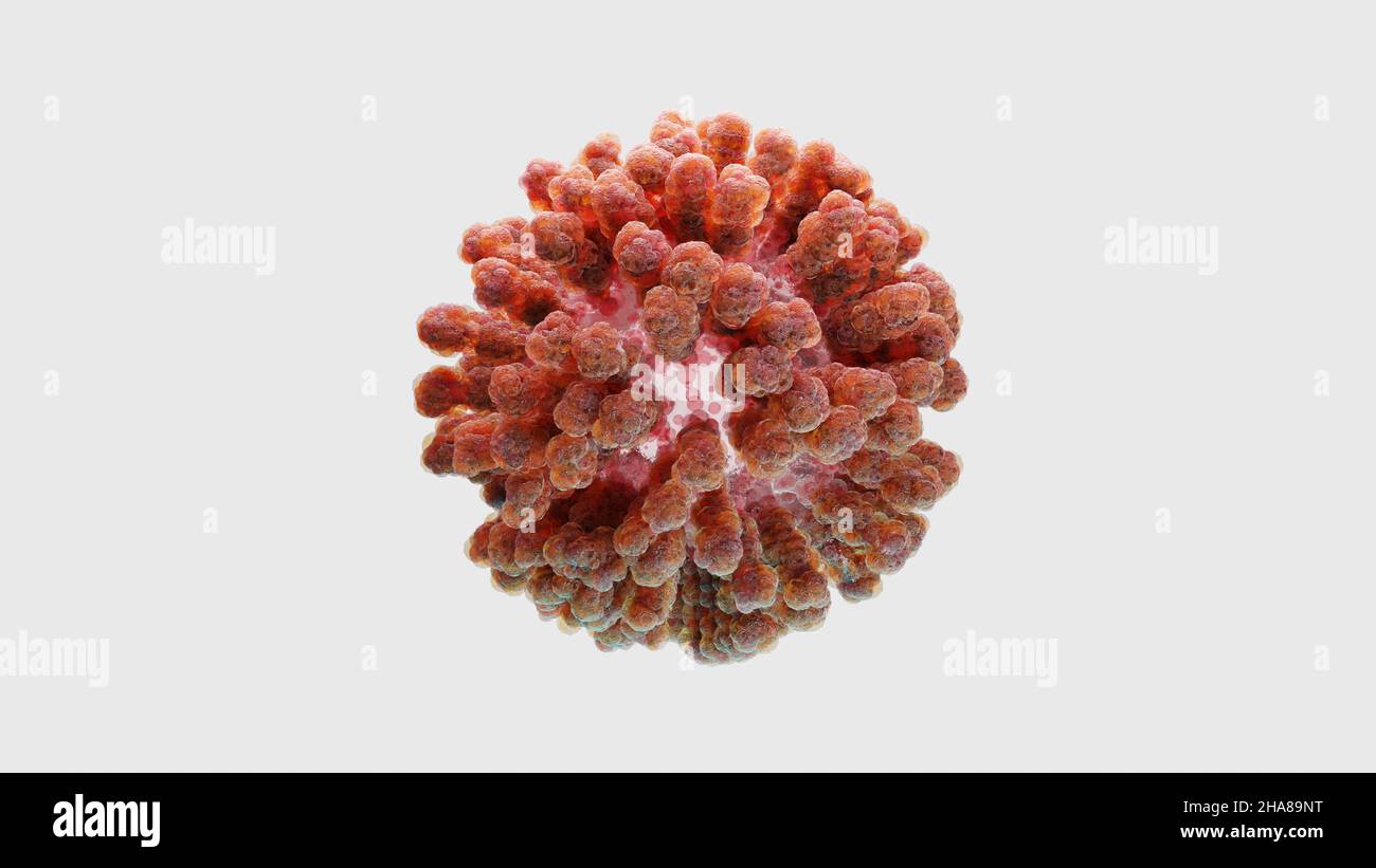 SARS-CoV-2 coronavirus variante Omicron. Delta cellulaire et MU variante of interest(VOI),B.1.621,B.1.1.529,C.37.COVID 19 Delta plus,MU variant, muté Banque D'Images