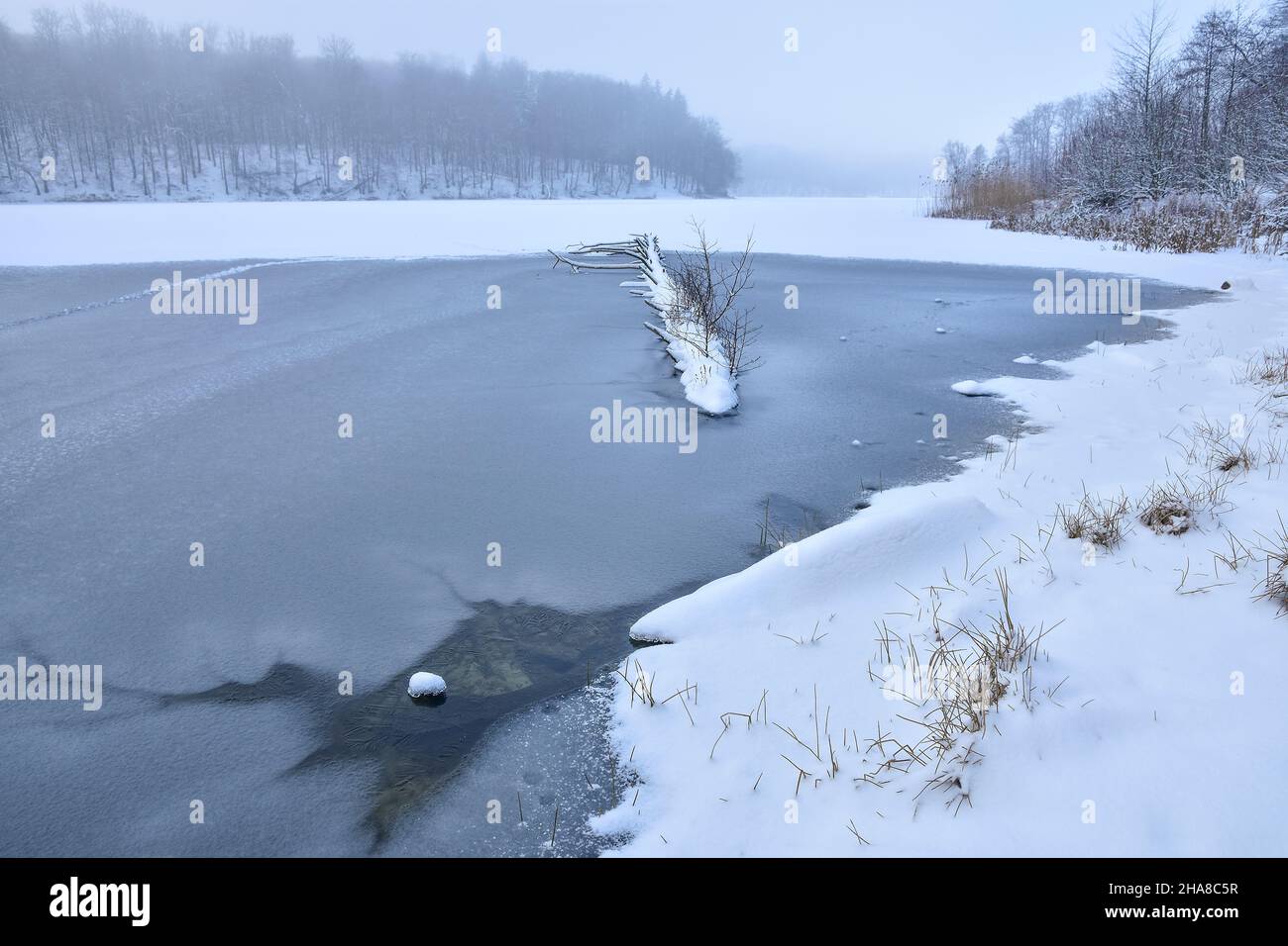 Lac gelé et forêt neige hiver, beau paysage.Pologne Banque D'Images