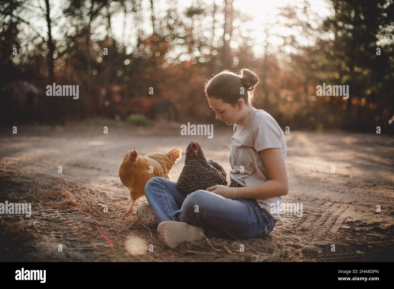 Fille assise sur une allée de terre avec des poulets Banque D'Images