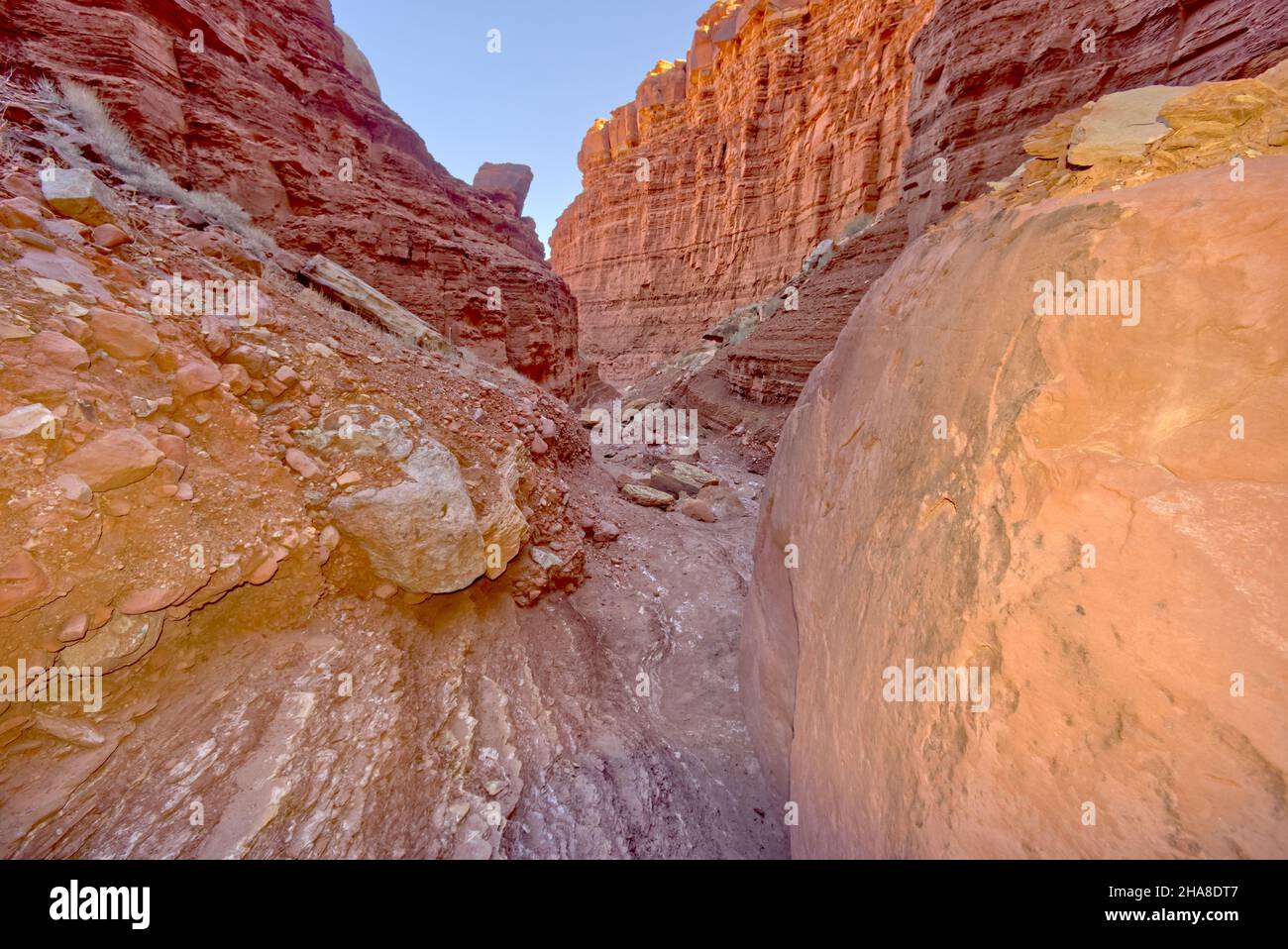 Upper Cathedral Wash dans la zone de loisirs de Glen Canyon Arizona.Ce chemin mène aux falaises de Vermilion. Banque D'Images