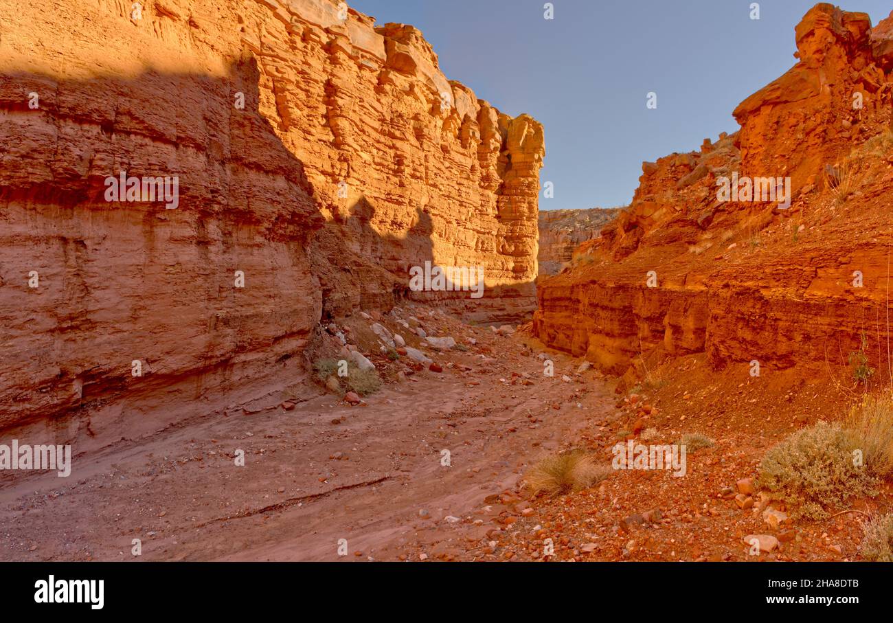 Upper Cathedral Wash dans la zone de loisirs de Glen Canyon Arizona.Ce chemin mène aux falaises de Vermilion. Banque D'Images