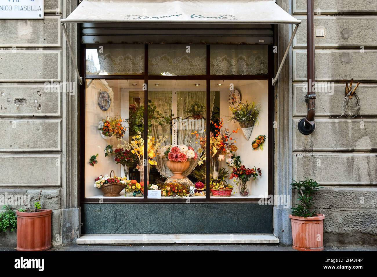 A l'extérieur de 'Sempreverde', boutique de fleurs artificielles dans le centre de Gênes, Ligurie, Italie Banque D'Images