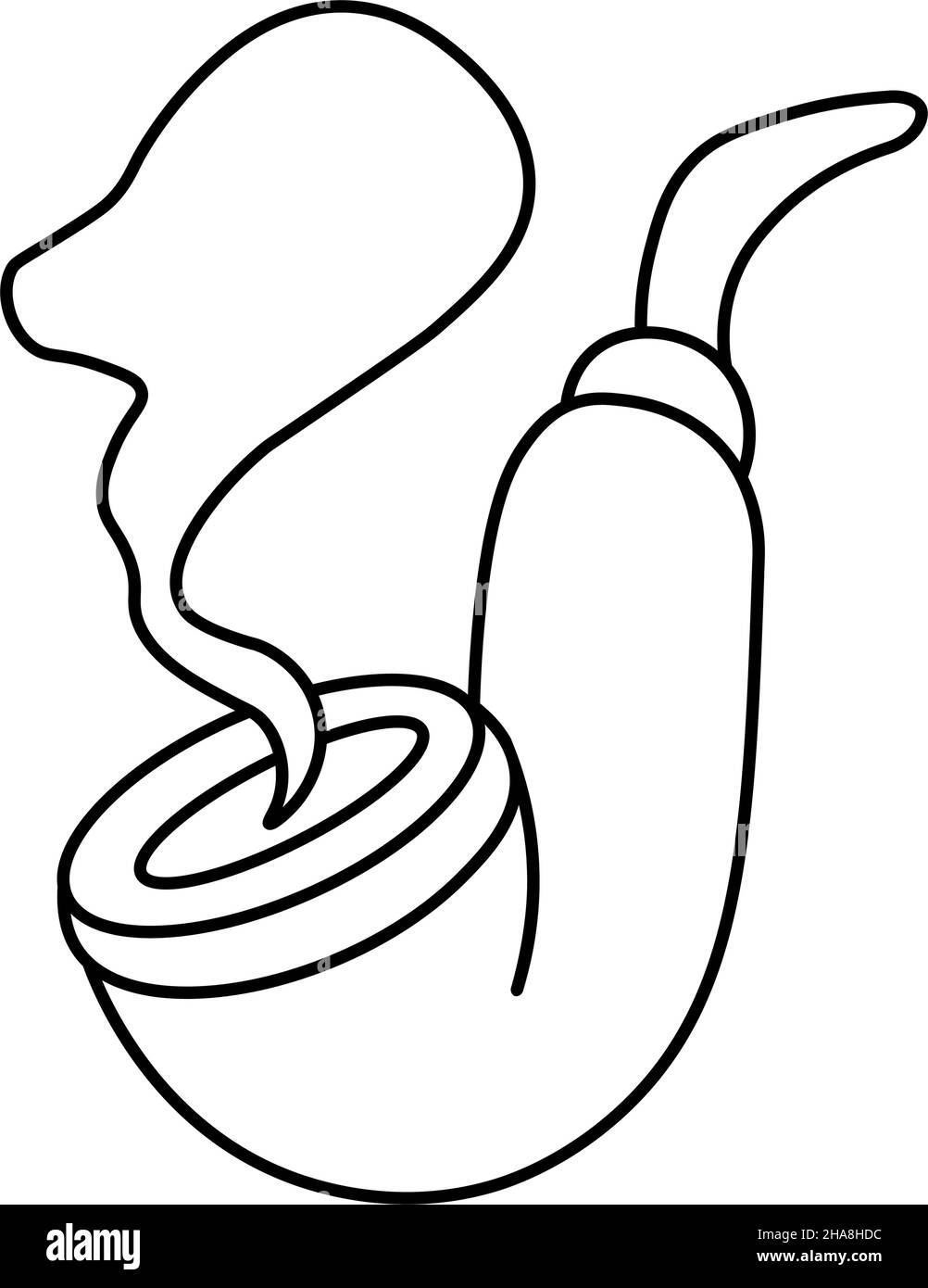 Tuyau de tabac à tirer à la main.Tuyau de fumée.Fête des pirates.Dessin pour le design, carte postale, décor, affiche, autocollant.Illustration vectorielle isolée en forme de doodle Illustration de Vecteur