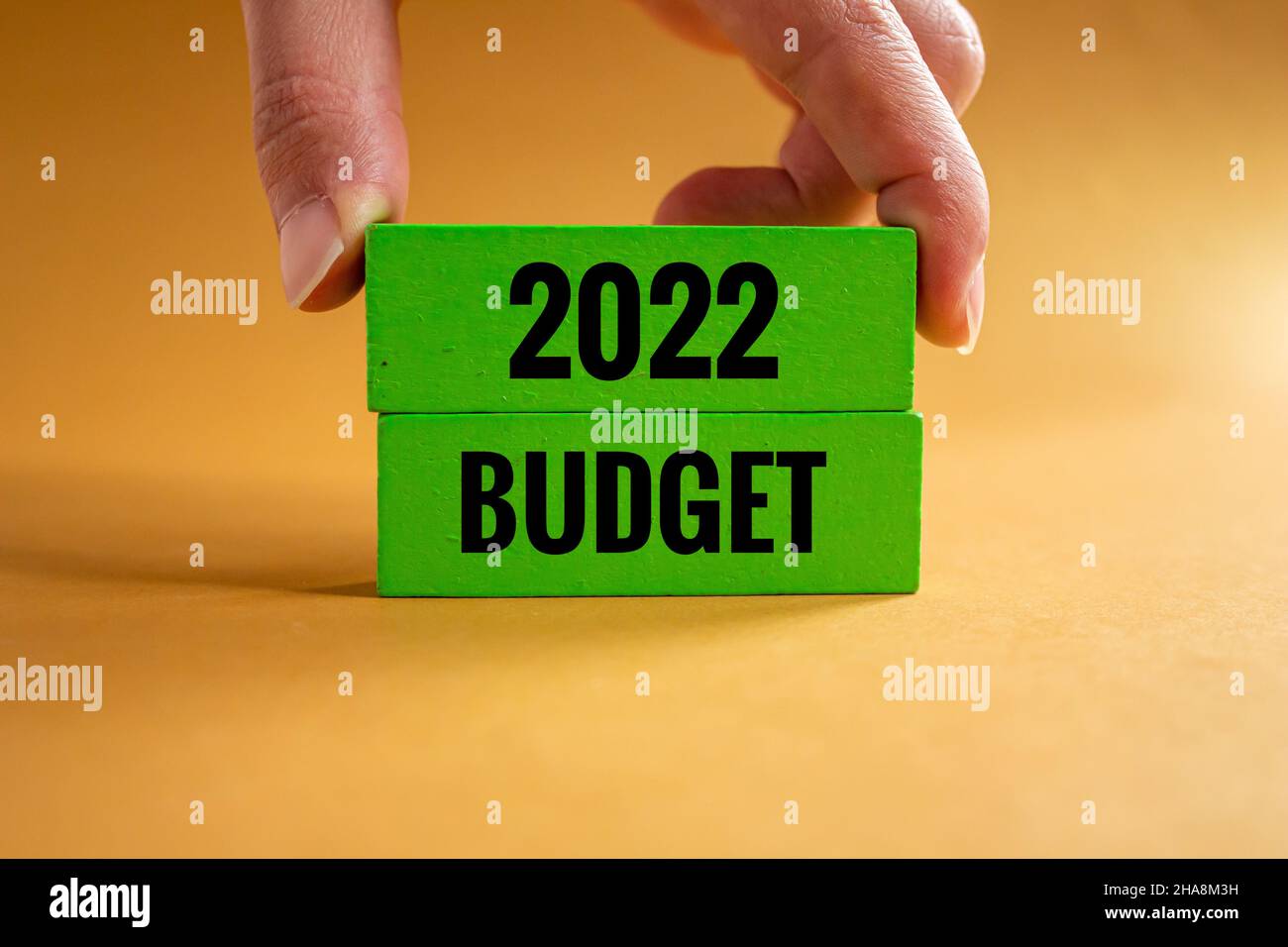 budget 2022, homme d'affaires tenant un bloc de bois avec le texte du budget 2022. Banque D'Images