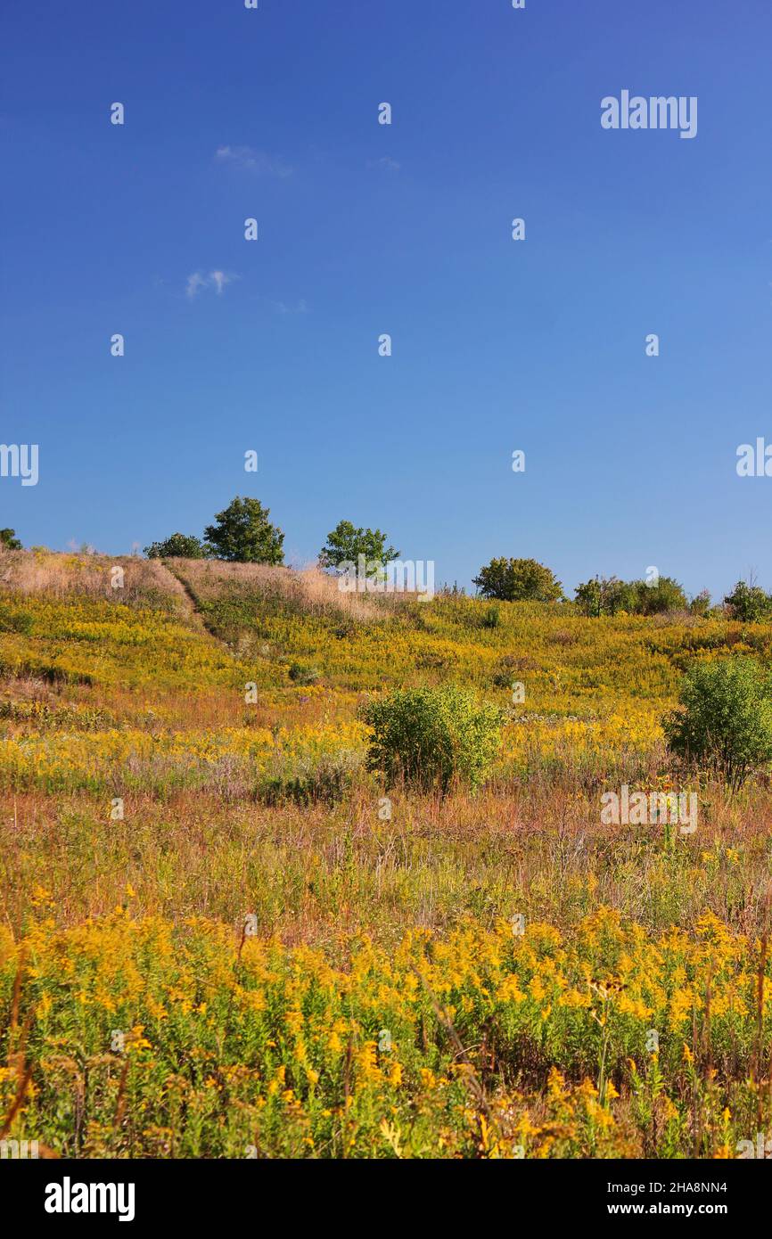 Paysage d'automne doré sur la prairie de l'Illinois. Banque D'Images