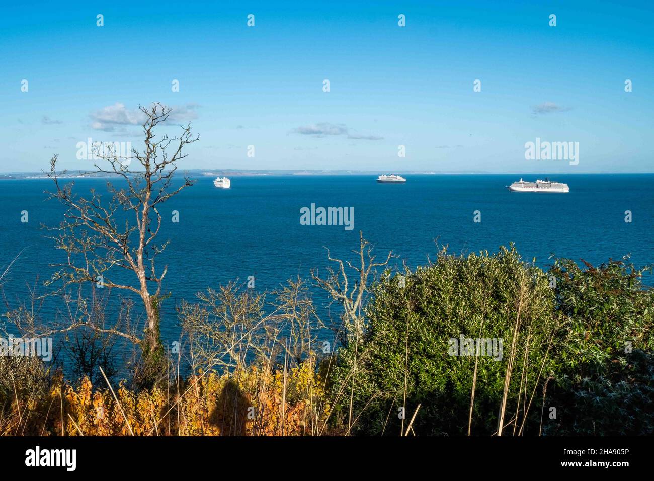 Vue panoramique sur la côte de Torquay avec trois navires en mer et la cime des arbres au premier plan, Devon, Angleterre Banque D'Images