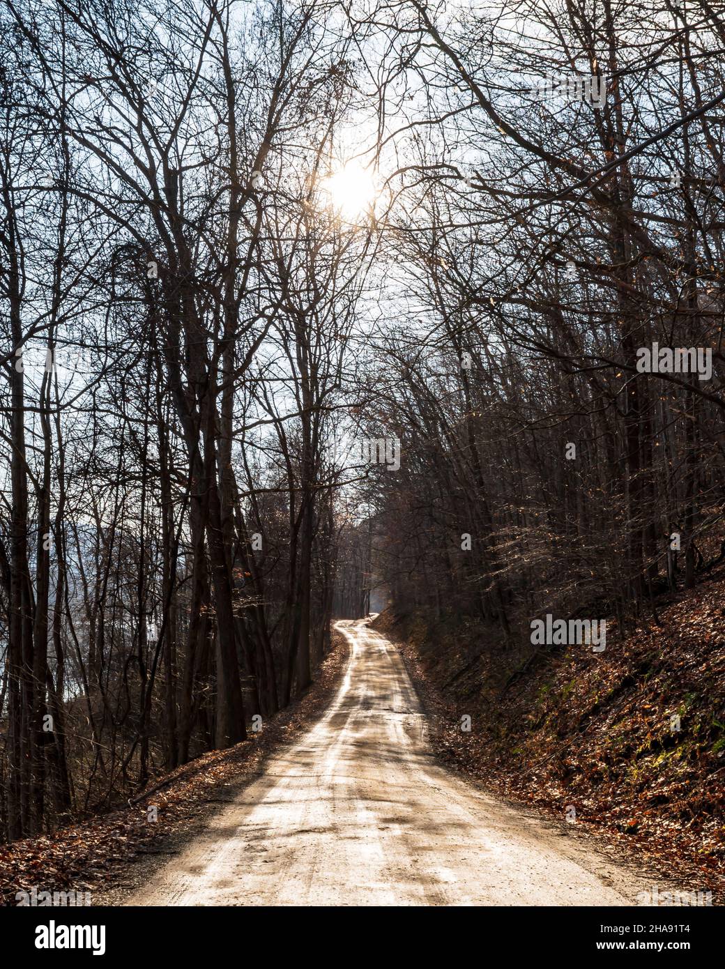 Une route de terre boueuse à travers les bois dans le canton de Deerfield, Pennsylvanie, États-Unis lors d'une journée d'hiver ensoleillée Banque D'Images