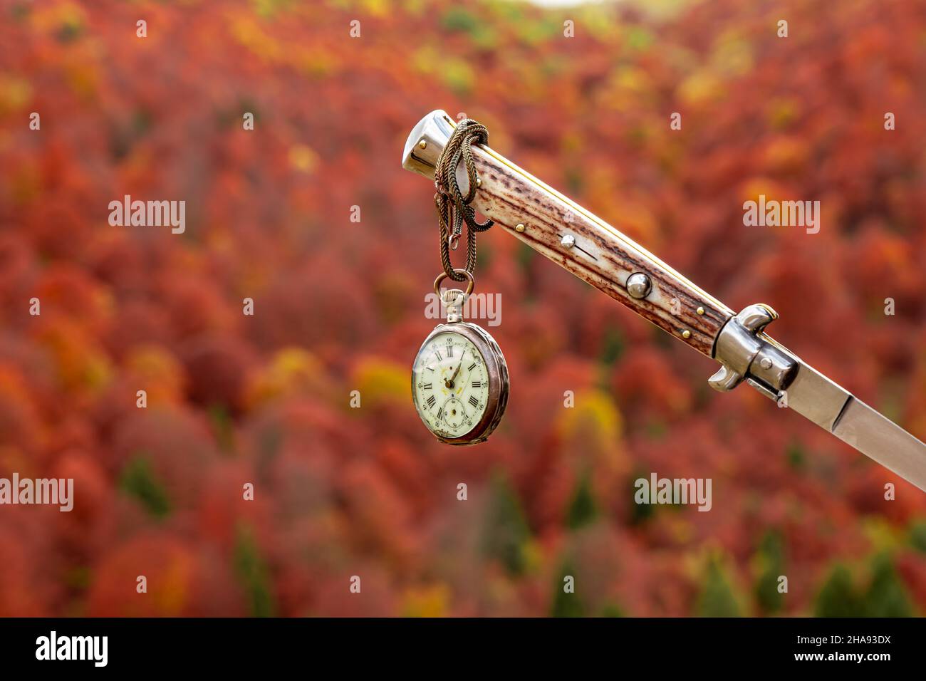 une vieille montre accrochée à un couteau avec un paysage d'automne en arrière-plan Banque D'Images