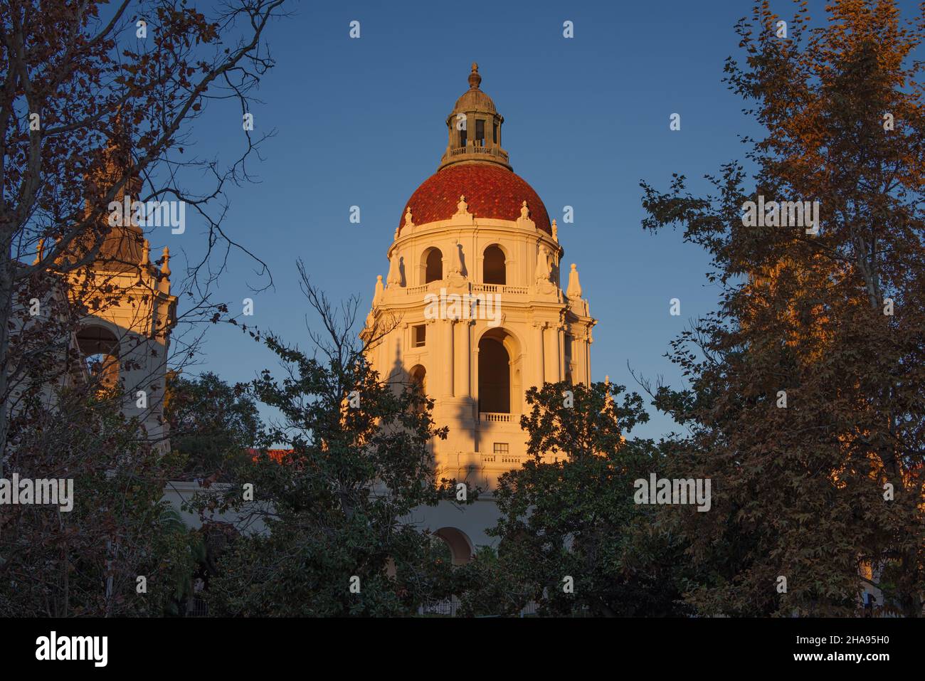 L'hôtel de ville de Pasadena dans le comté de Los Angeles encadré par le feuillage et montré contre la lumière tôt le matin et le ciel bleu clair. Banque D'Images