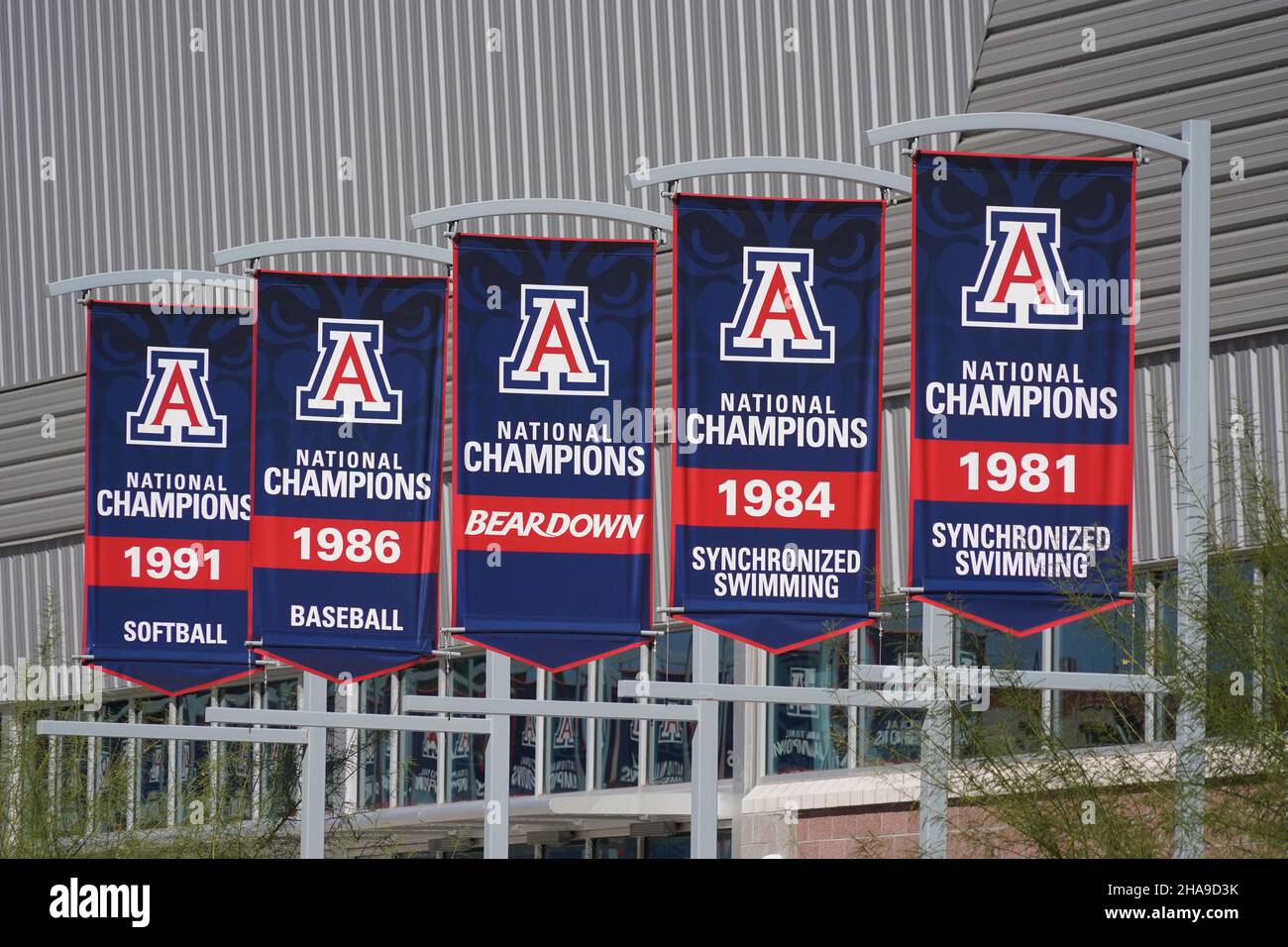 Arizona Wildcats les bannières de championnat de NCAA pour softball (1991), baseball (1986), natation synchronisée (1981 et 1984 sont vues au Cole et Jeanni Banque D'Images