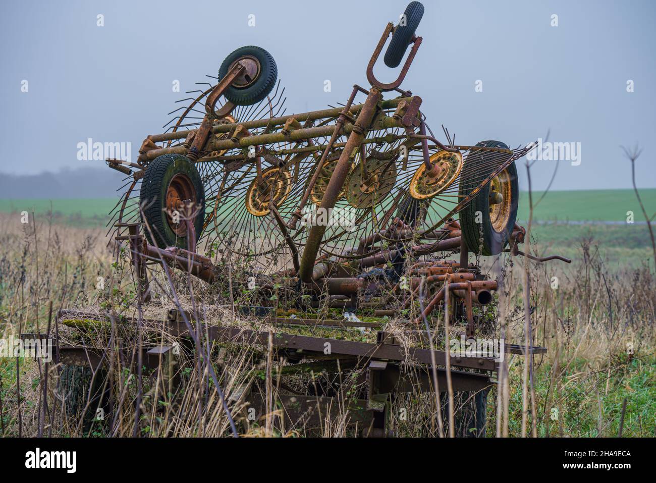 Ancien équipement agricole abandonné, rouillé et surcultivé, équipement de râteau et de batteuse, Wiltshire, Royaume-Uni Banque D'Images