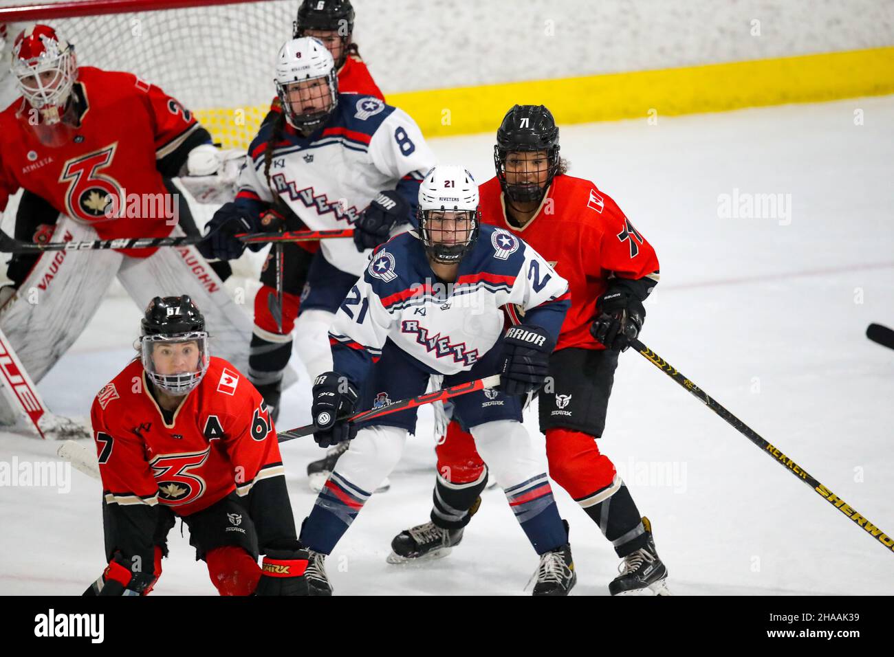 Haley frade Banque de photographies et d’images à haute résolution Alamy
